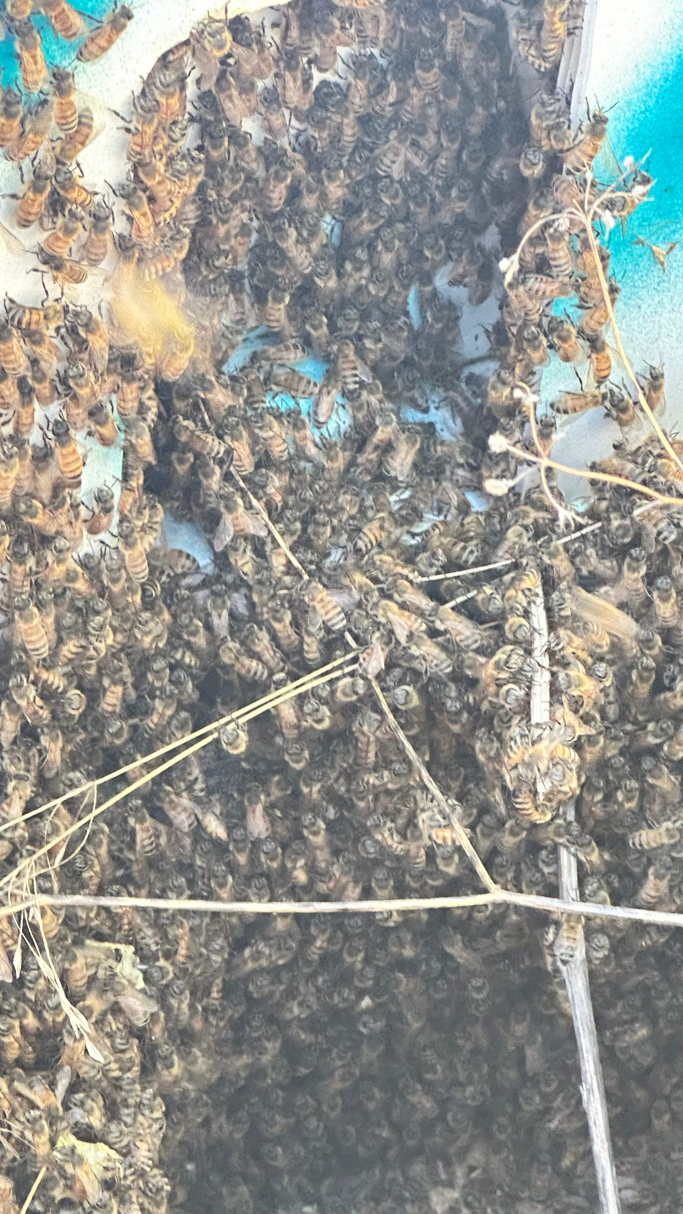 Well Meter by Rockwall Honey Bee Company