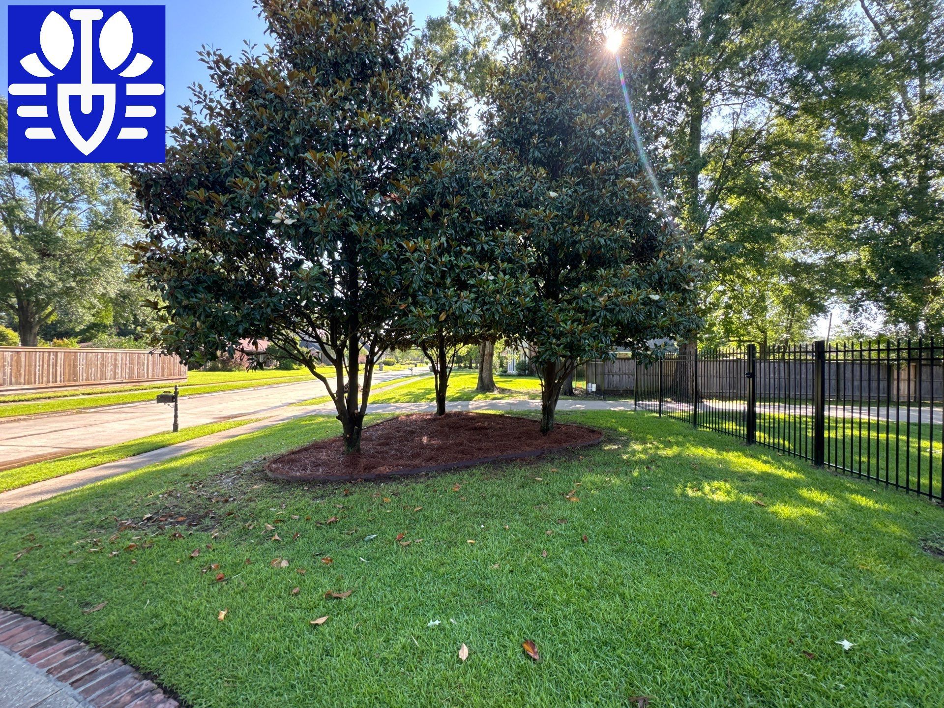 RESIDENTIAL LAWN, MAINTENANCE AND LANDSCAPING by CutScape, LLC.