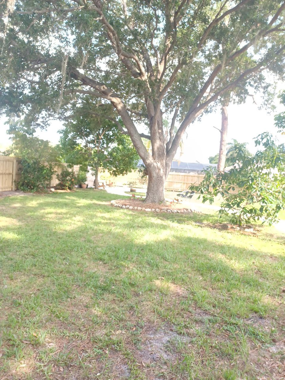 Sarasota, FL 6ft. Tall Treated Board on Board Wood Fence by Asap fence and gates, LLC