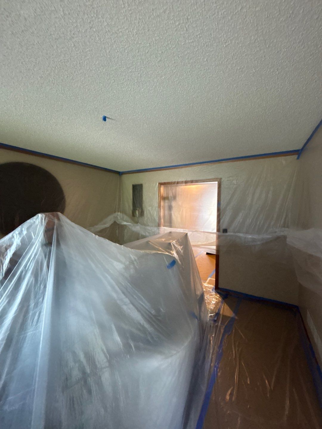 Level Up Your Ceiling: Texture Removal & Refinishing by Cougar Painting