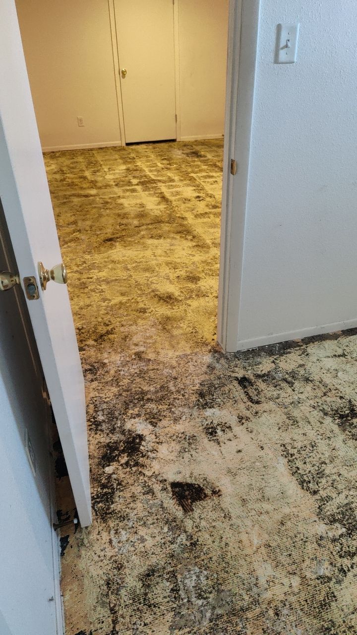 Water Damage by Accountable Home Services