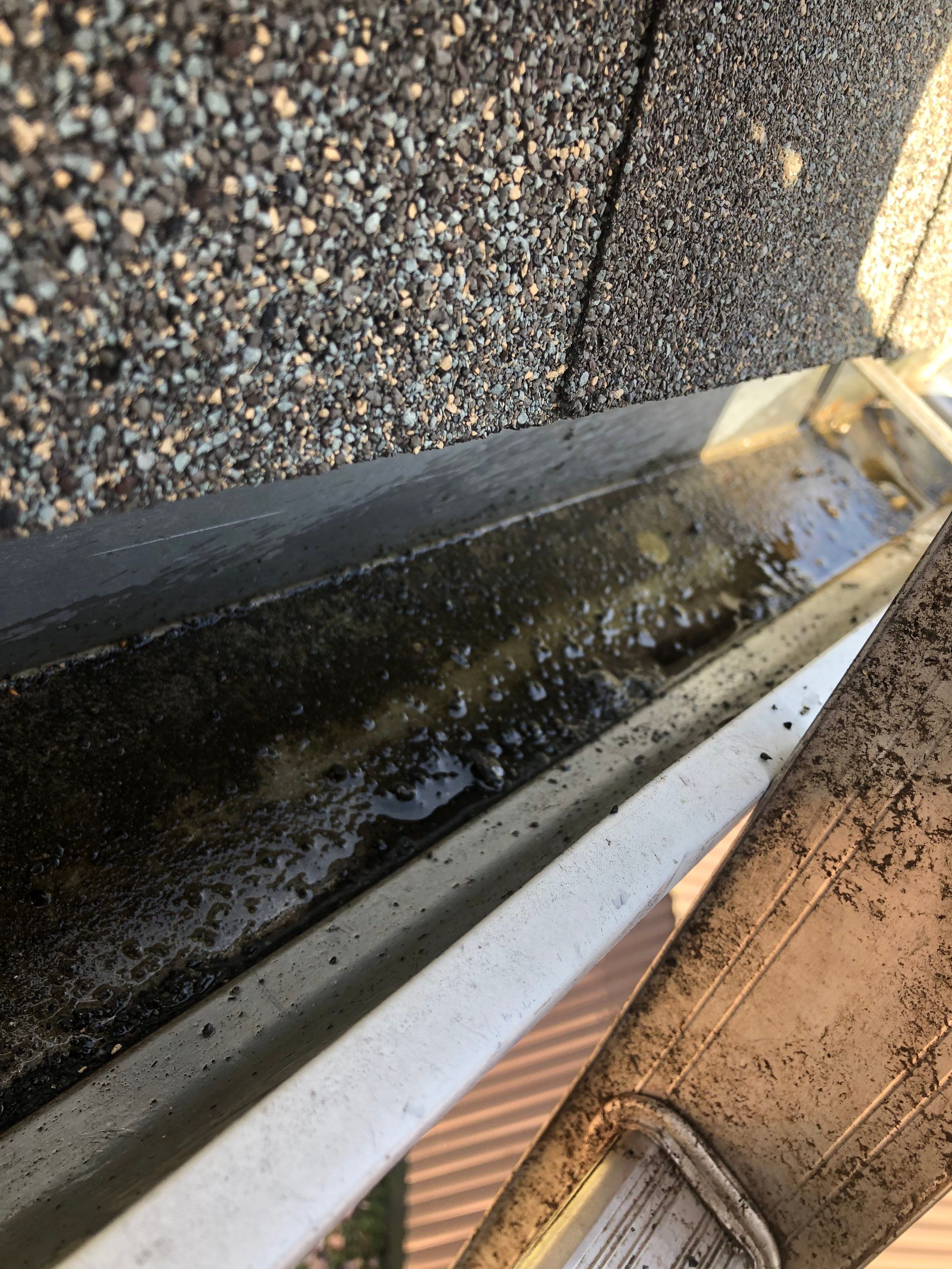 Commercial gutter cleaning Holland & Muskegon after photo with clean gutters