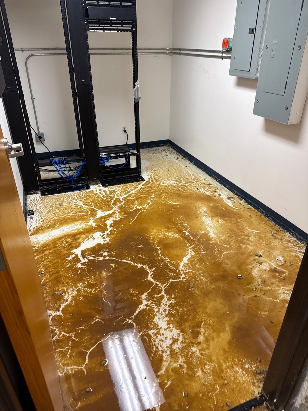 Project in Warren by EzDry Water Mitigation & Property Restoration