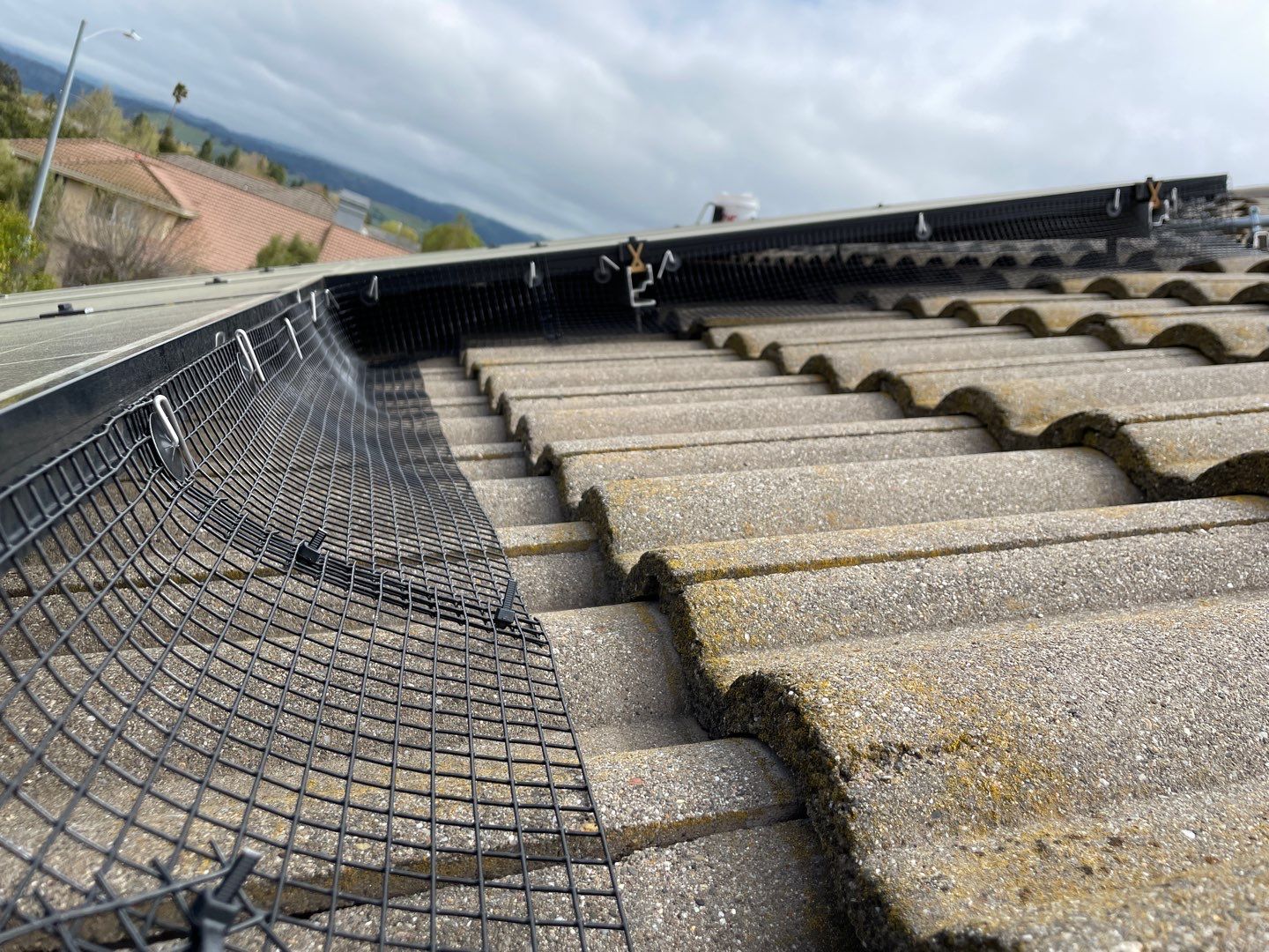 Solar Panel Bird Proofing-Morgan Hill by All One Solar Shine
