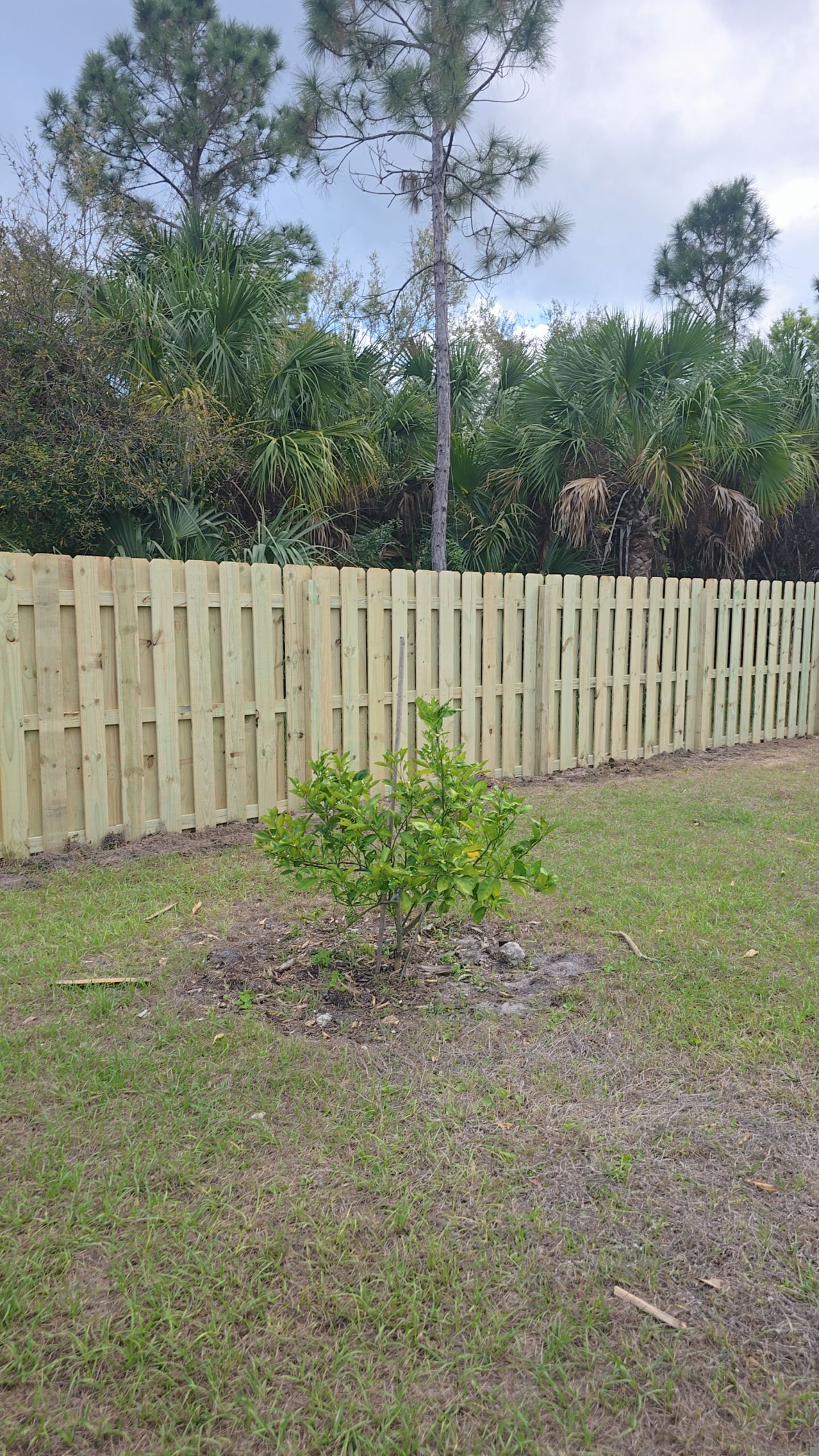 Wood Shadowbox Install in North Port by True Fence LLC
