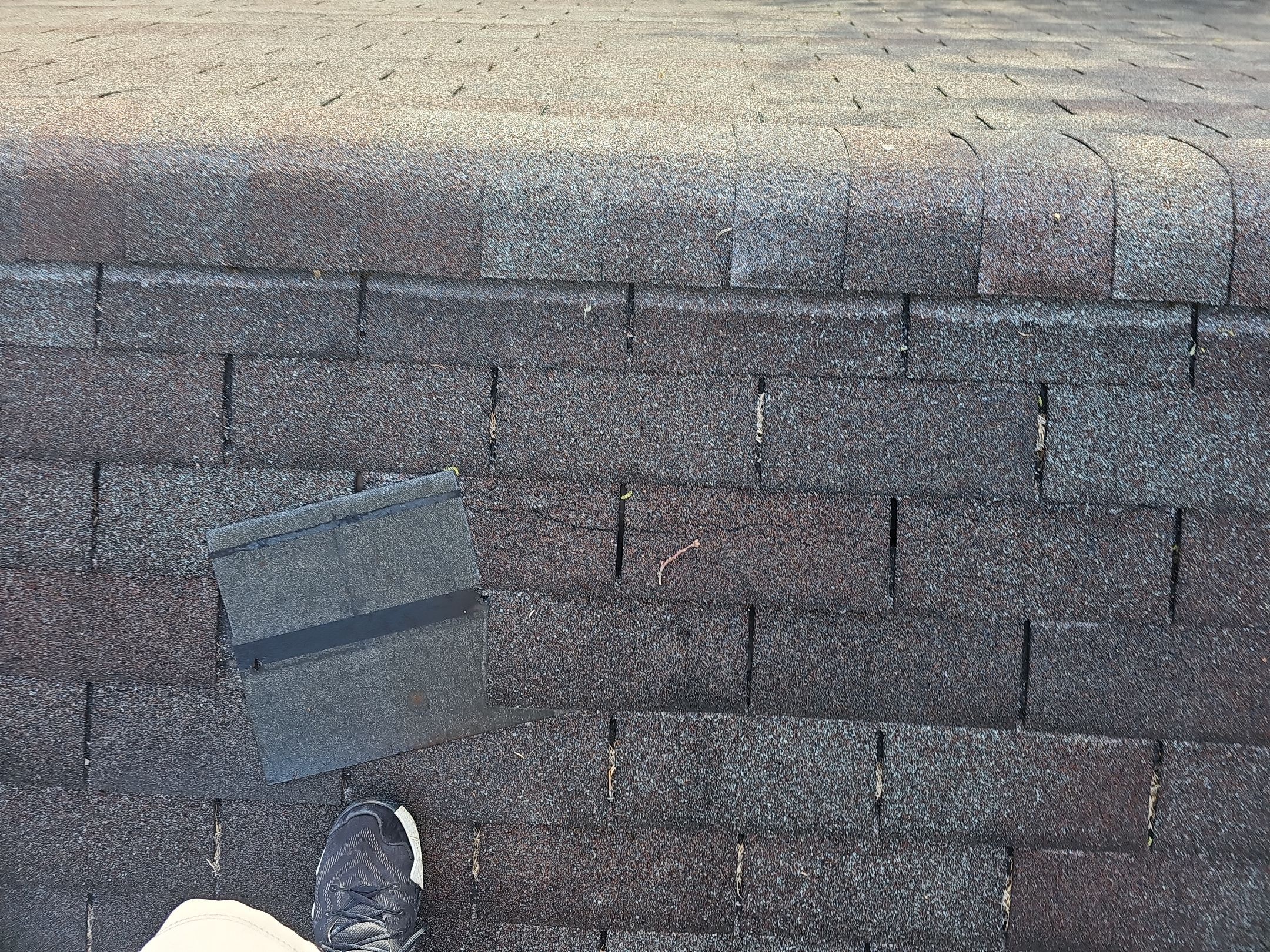 ATLAS PINNACLE COLOR: MORNING HARVEST by Eagle Eye Roofing