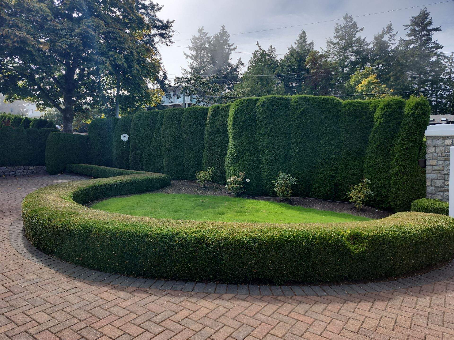 Garden Care - Cordova Bay Residence by Habanero Garden and Exterior Care