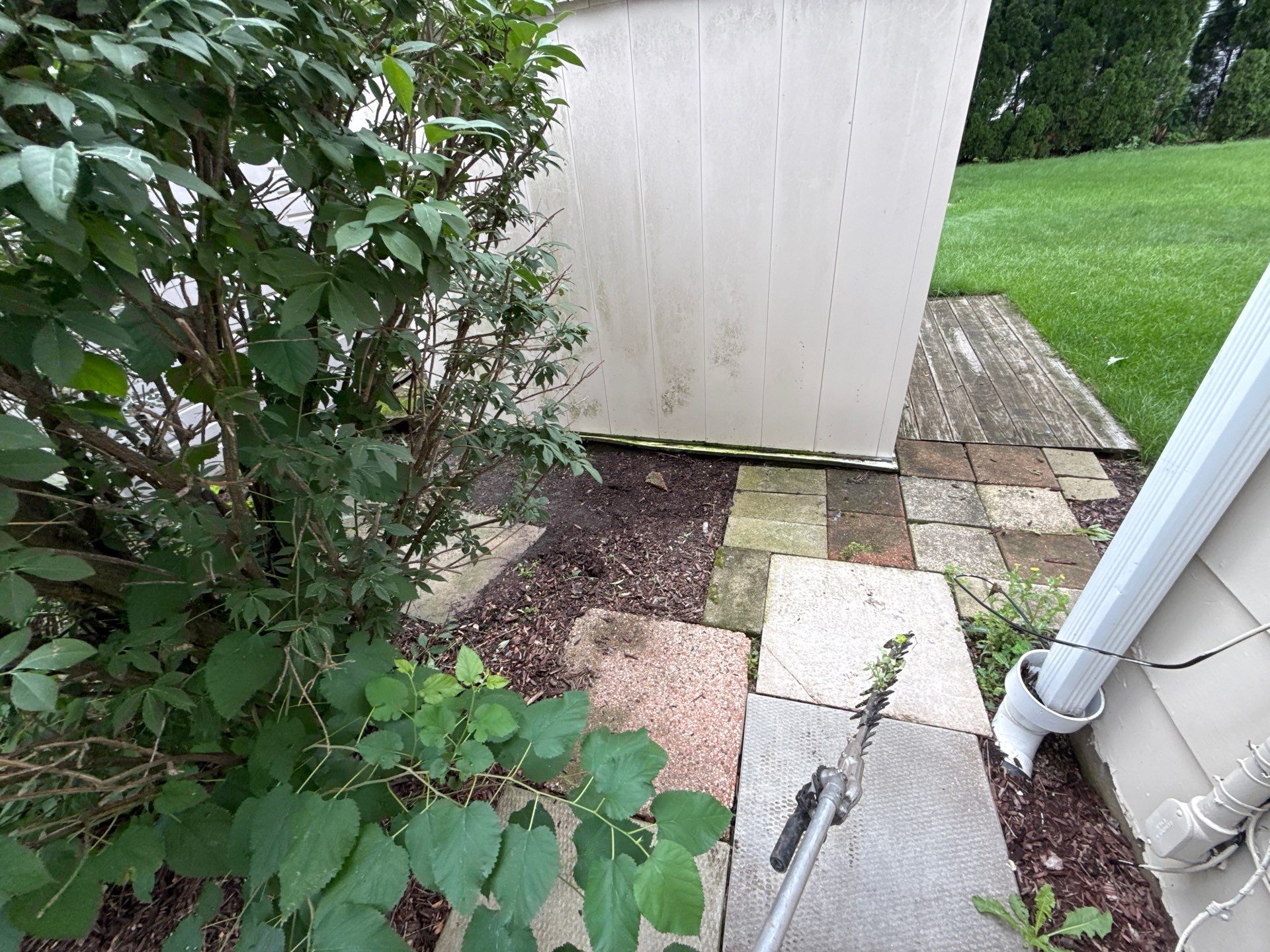 Renee K. - Mount Prospect, IL by A&N 