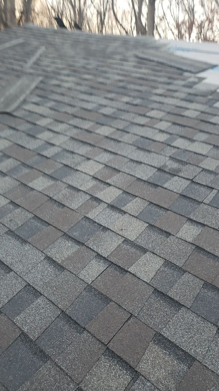 Vienna: Certainteed Landmark Pro Designer Shingles in Max Def Driftwood by RM Banning, Inc.