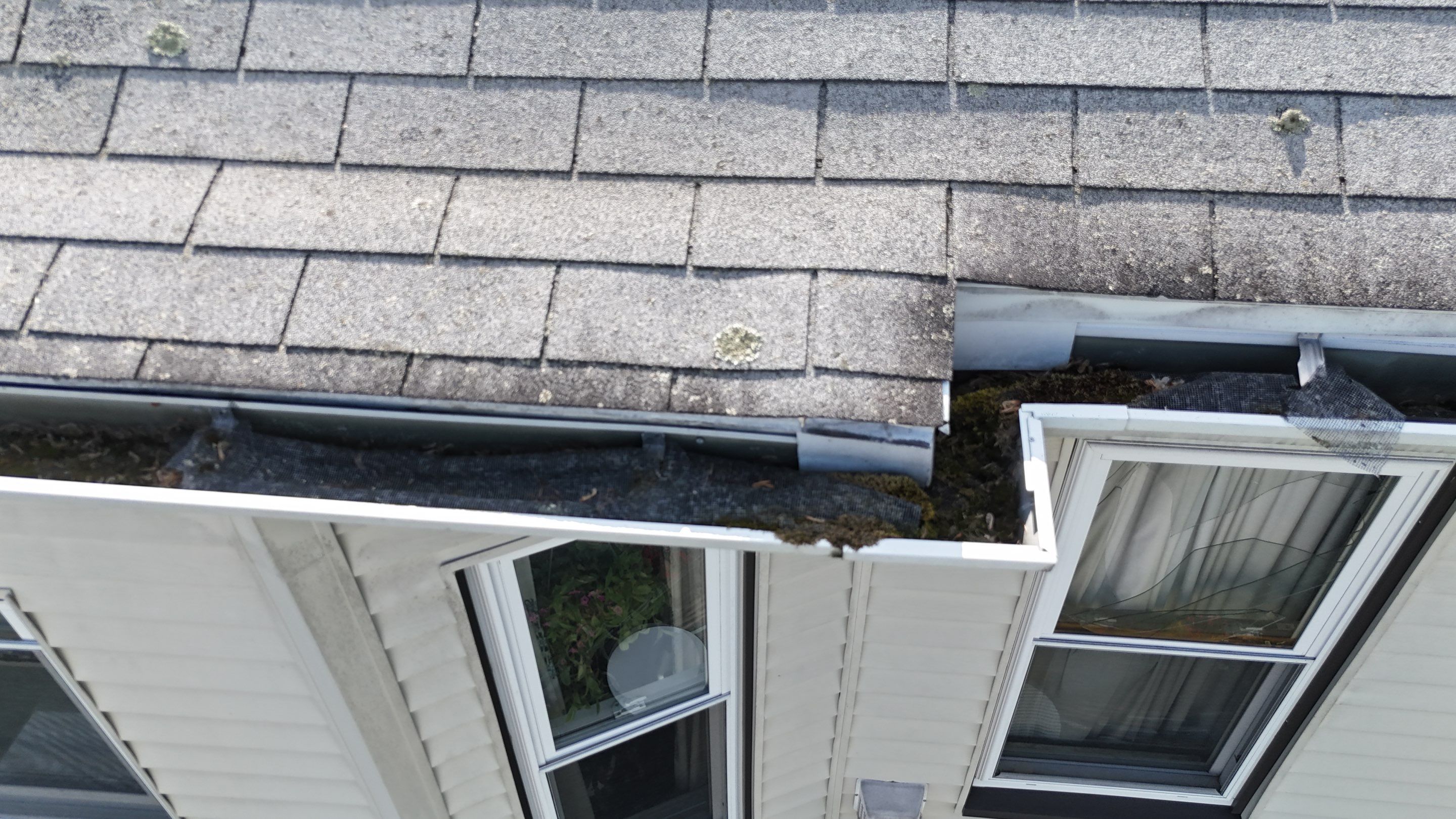 Roof & Gutter Replacement – Belmont, MA by Mighty Dog Roofing of Greater Middlesex County