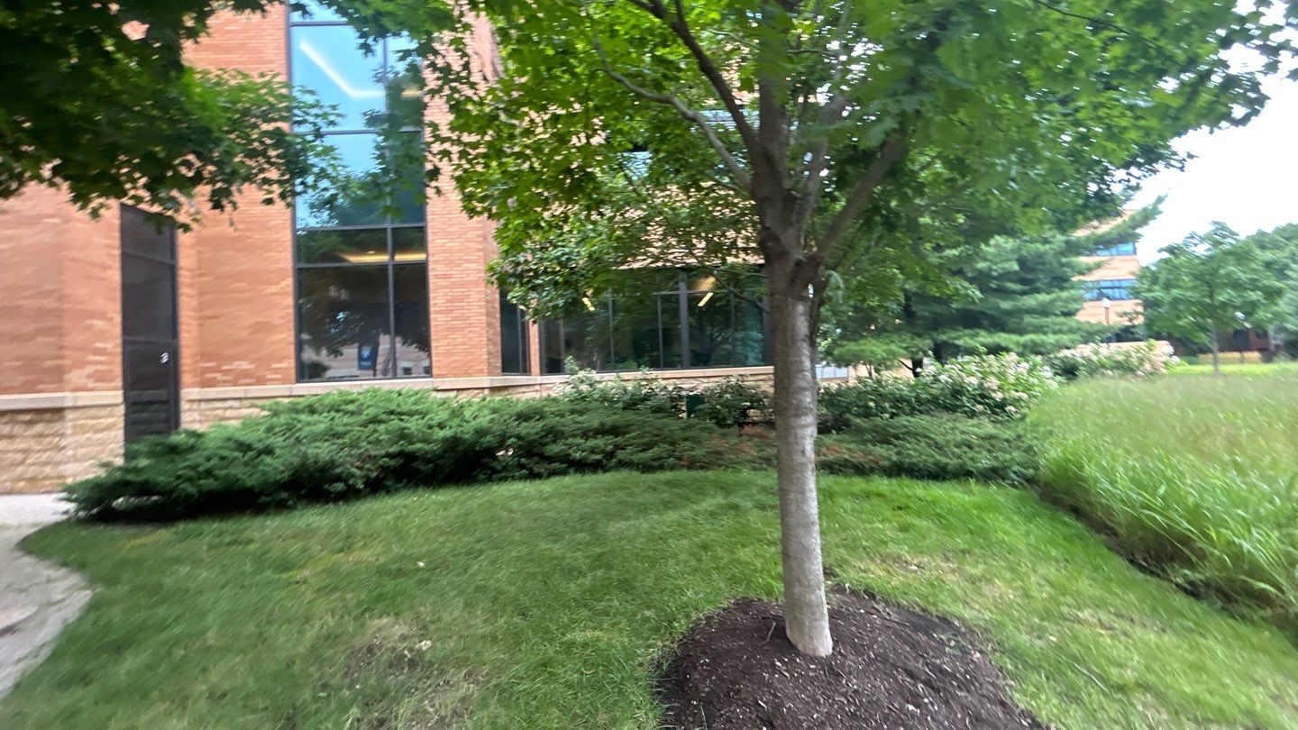 natural stone using Algaecide, soft wash soap by Northern Power Washing LLC.