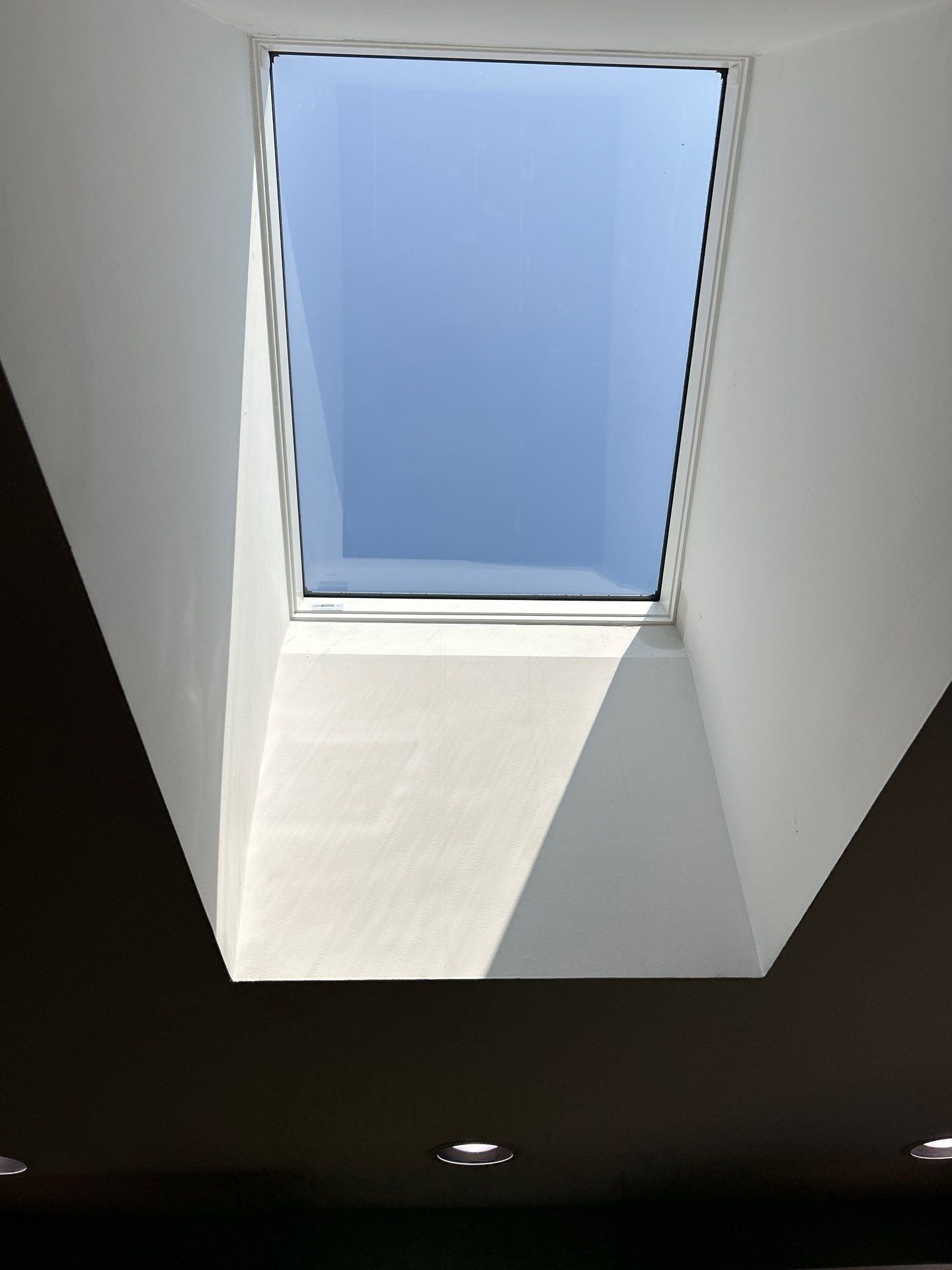 Skylight Replacement by Case Construction