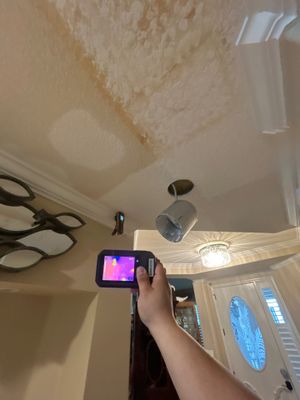 Water And Mold Restoration 