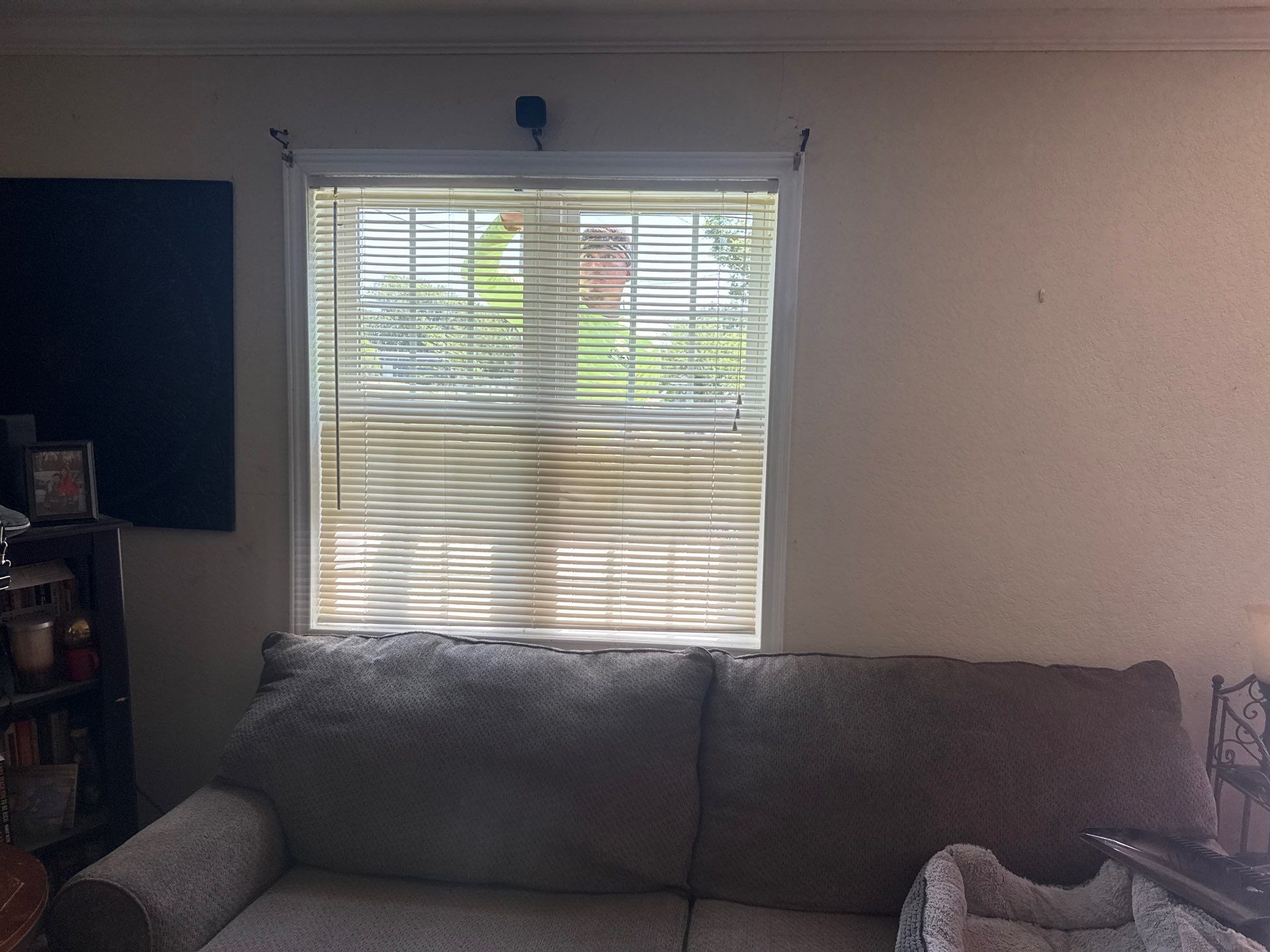 Window Replacements by In & Out Construction & Remodeling, LLC