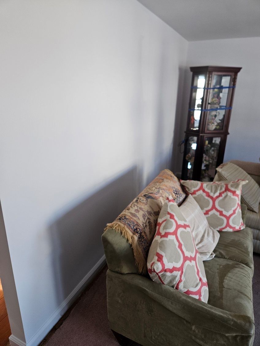First Floor Transformation by Davis Painting Llc 