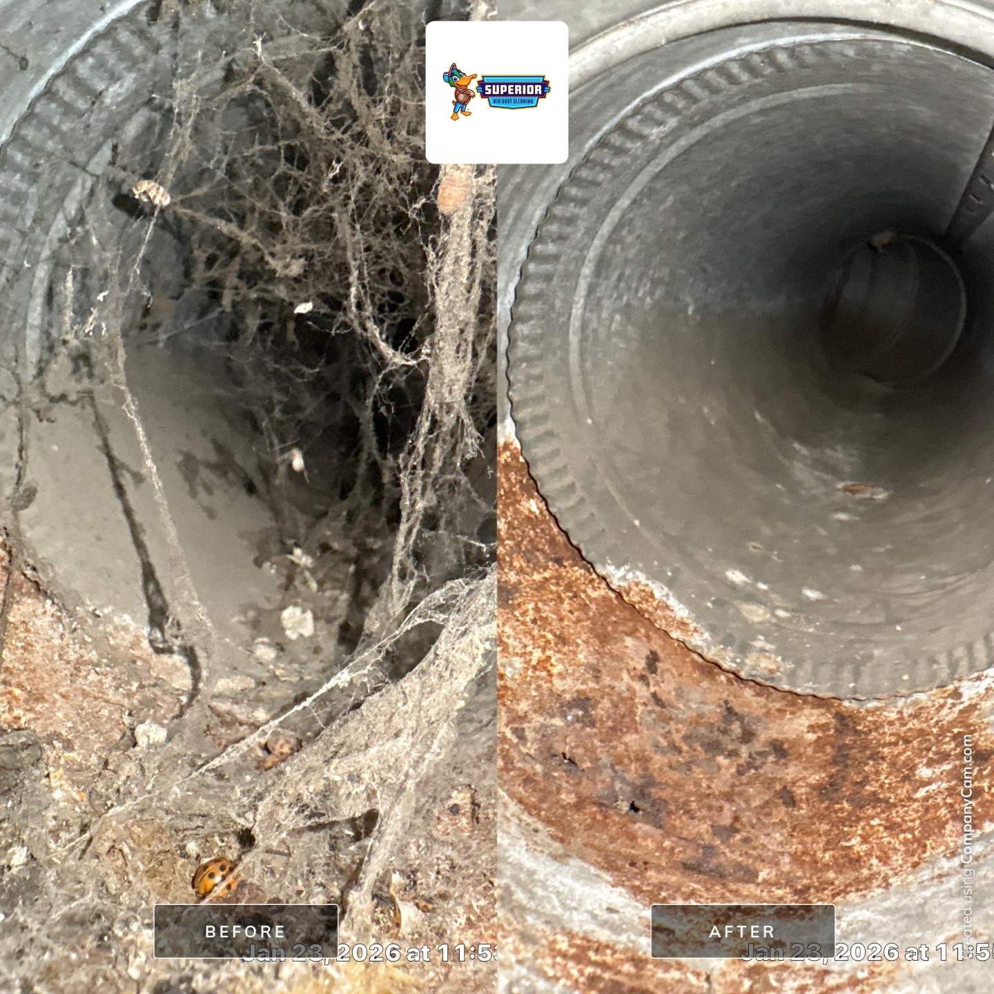 Air Duct Cleaning in Darlington, PA by Superior Air Duct Cleaning