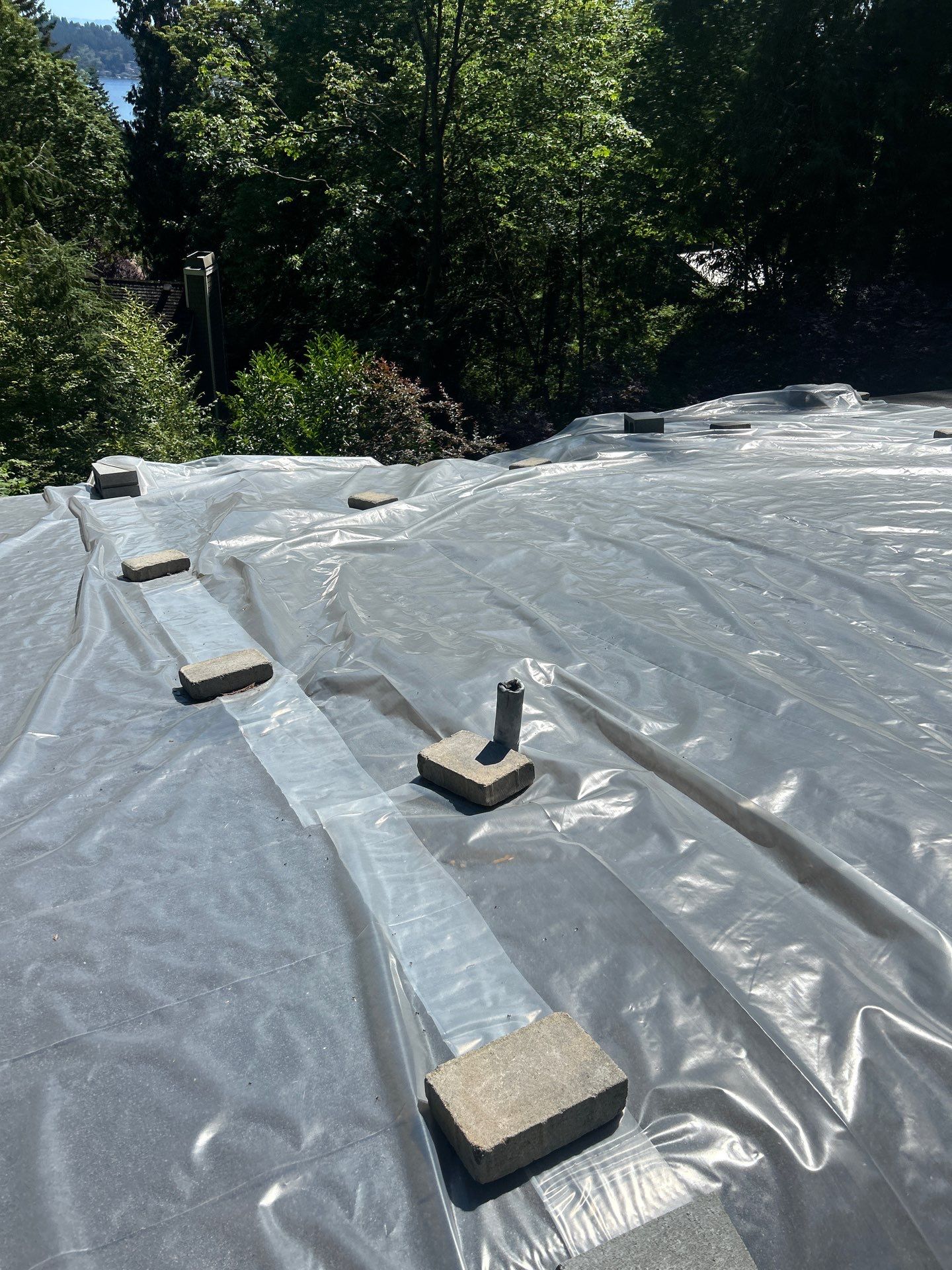 Project in Seattle by Peaks and Valleys Construction