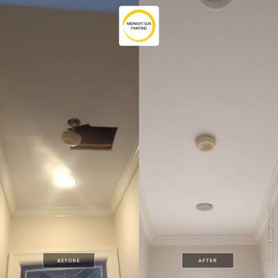 Ceiling Repair & Repaint