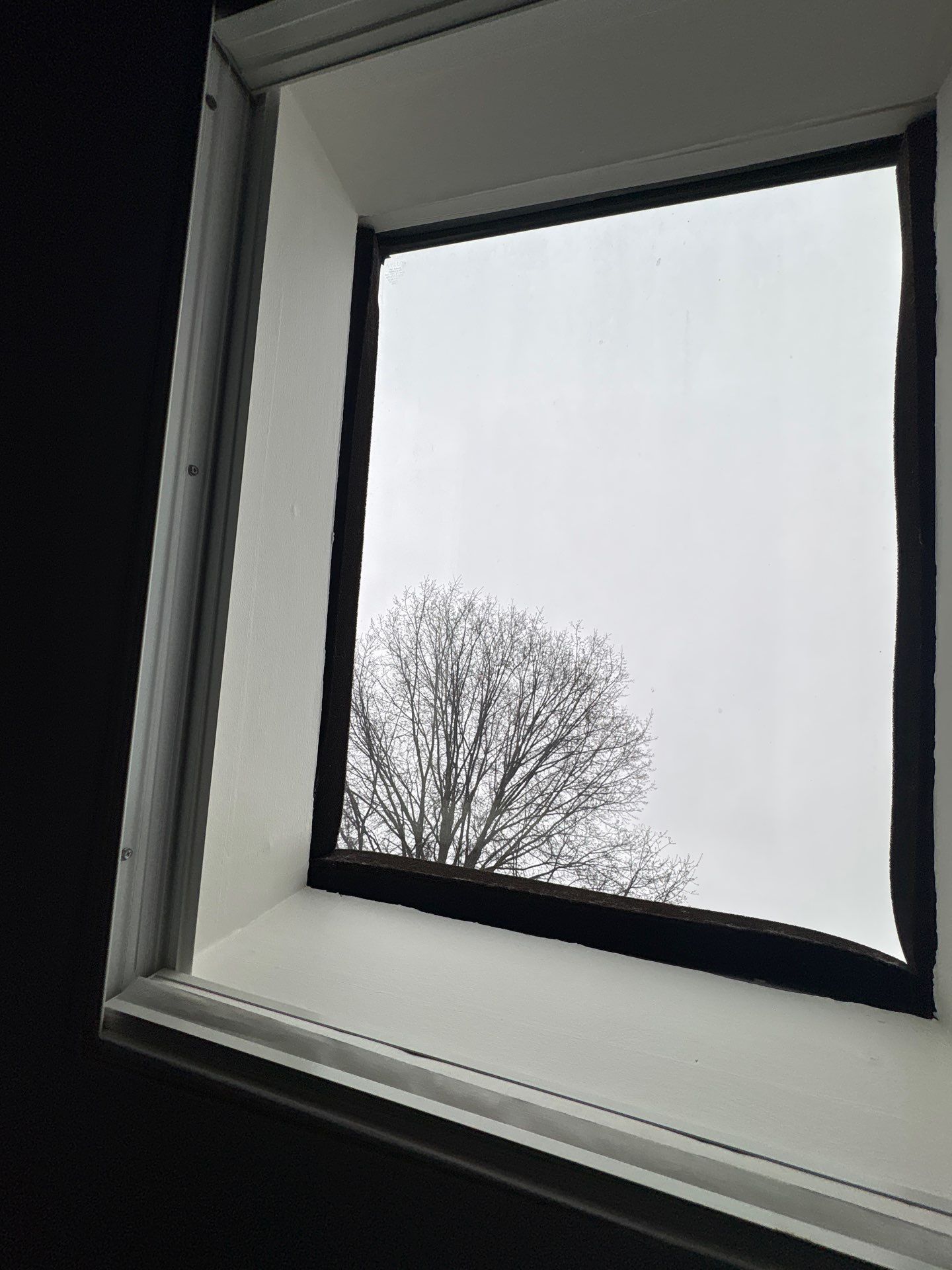 Double Hung Windows & Skylight by Aspen Home Improvements