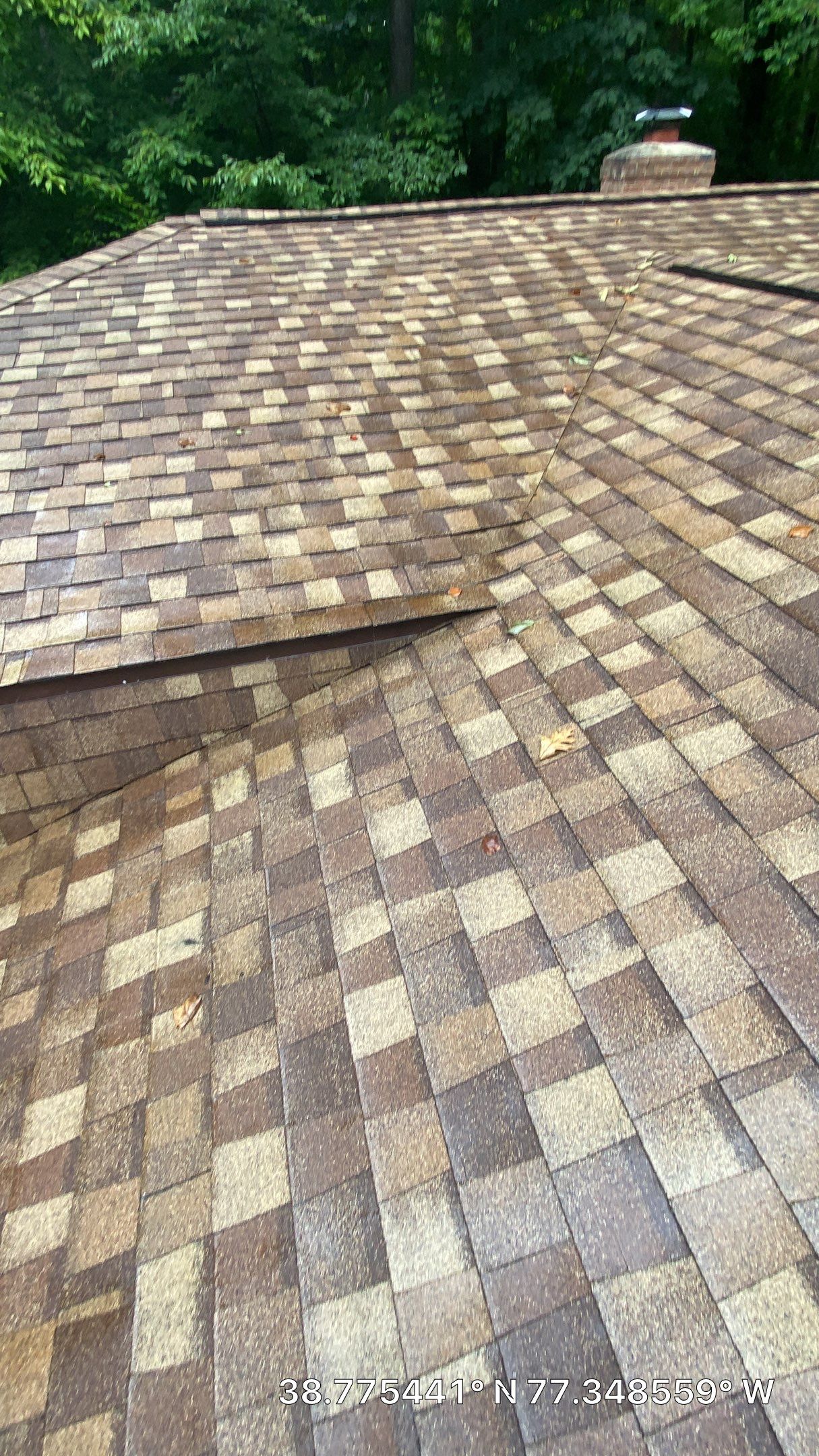 Fairfax Station: CertainTeed Landmark Pro Designer Shingles in Max Def Resawn Shake by RM Banning, Inc.