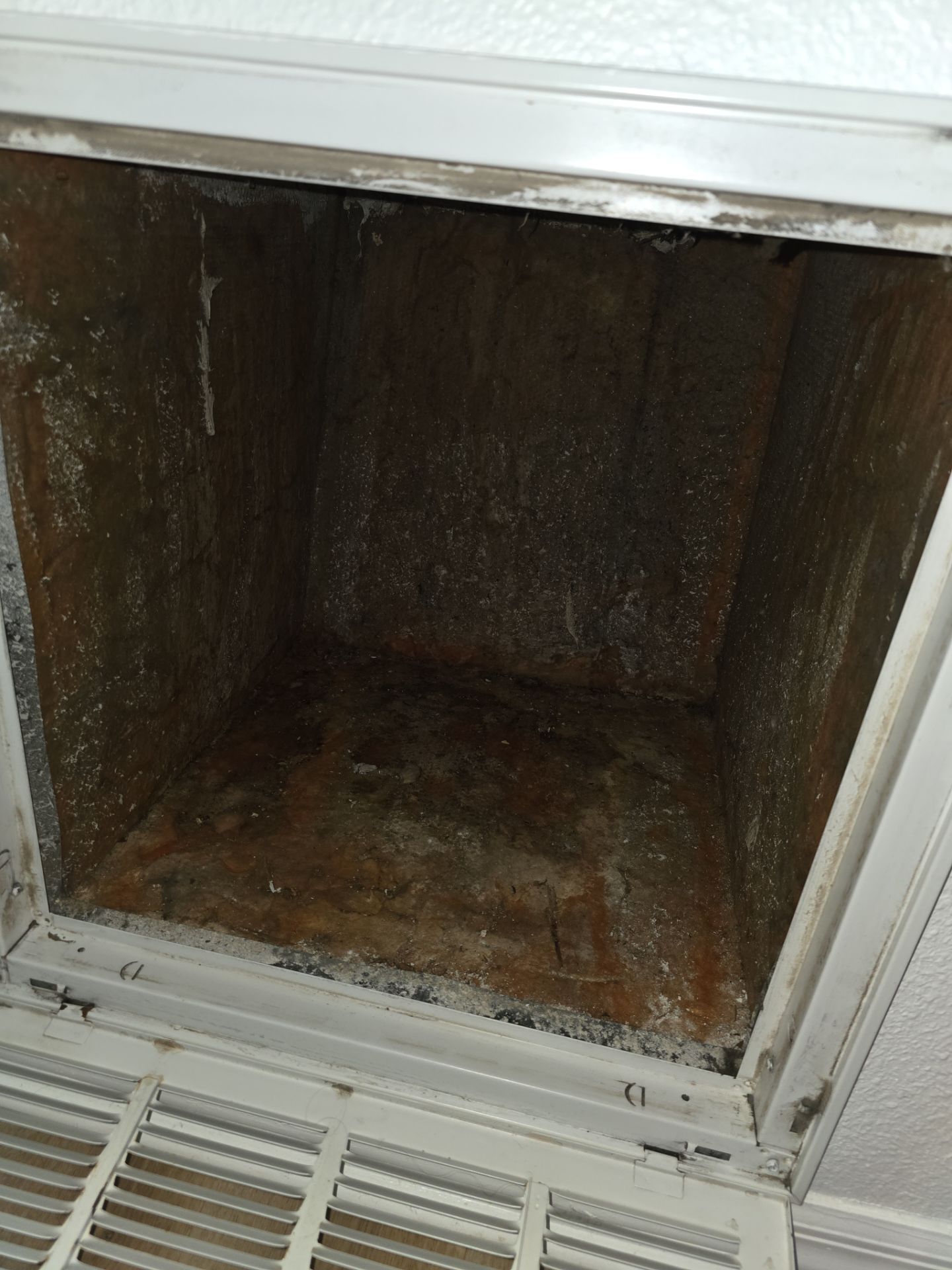 Air Duct and Repairs to Return Box in Groveland by Hygienic Air, Inc