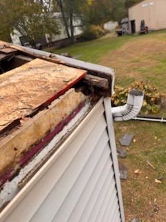 Project in Holland by Serene Construction