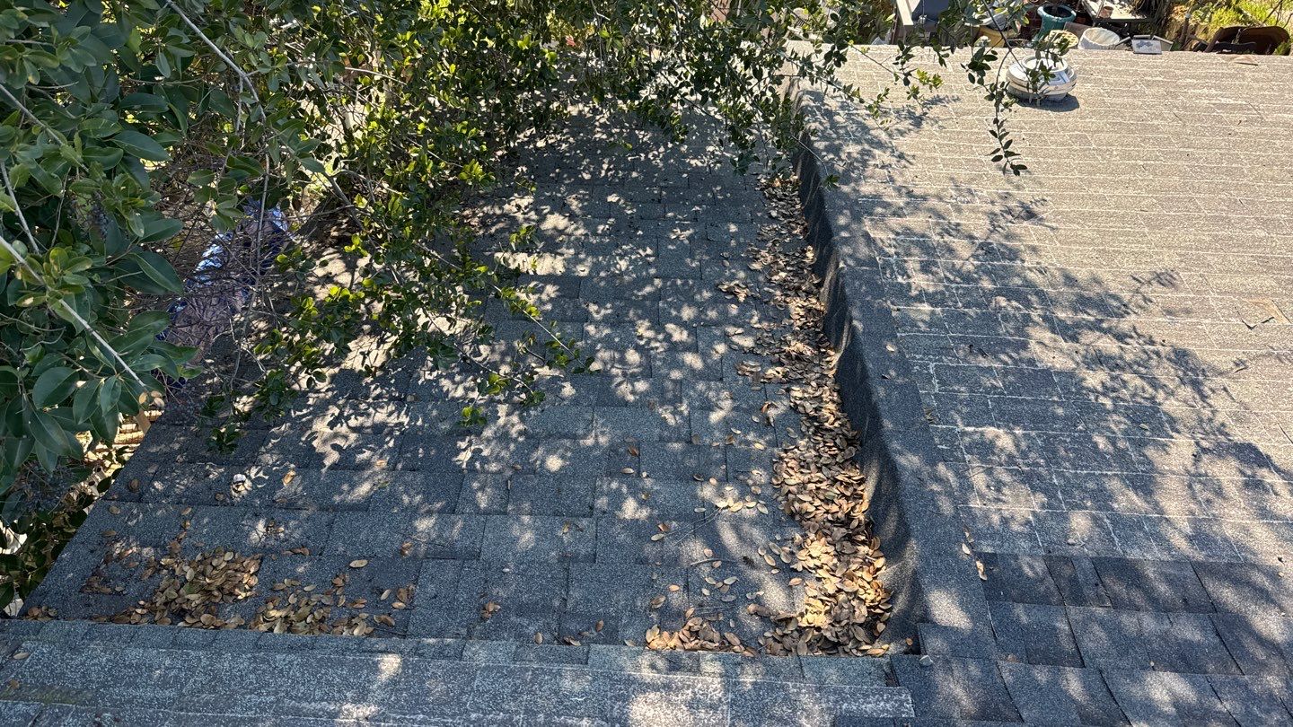 Project by NuLead Construction Inc by NuLead Construction Inc