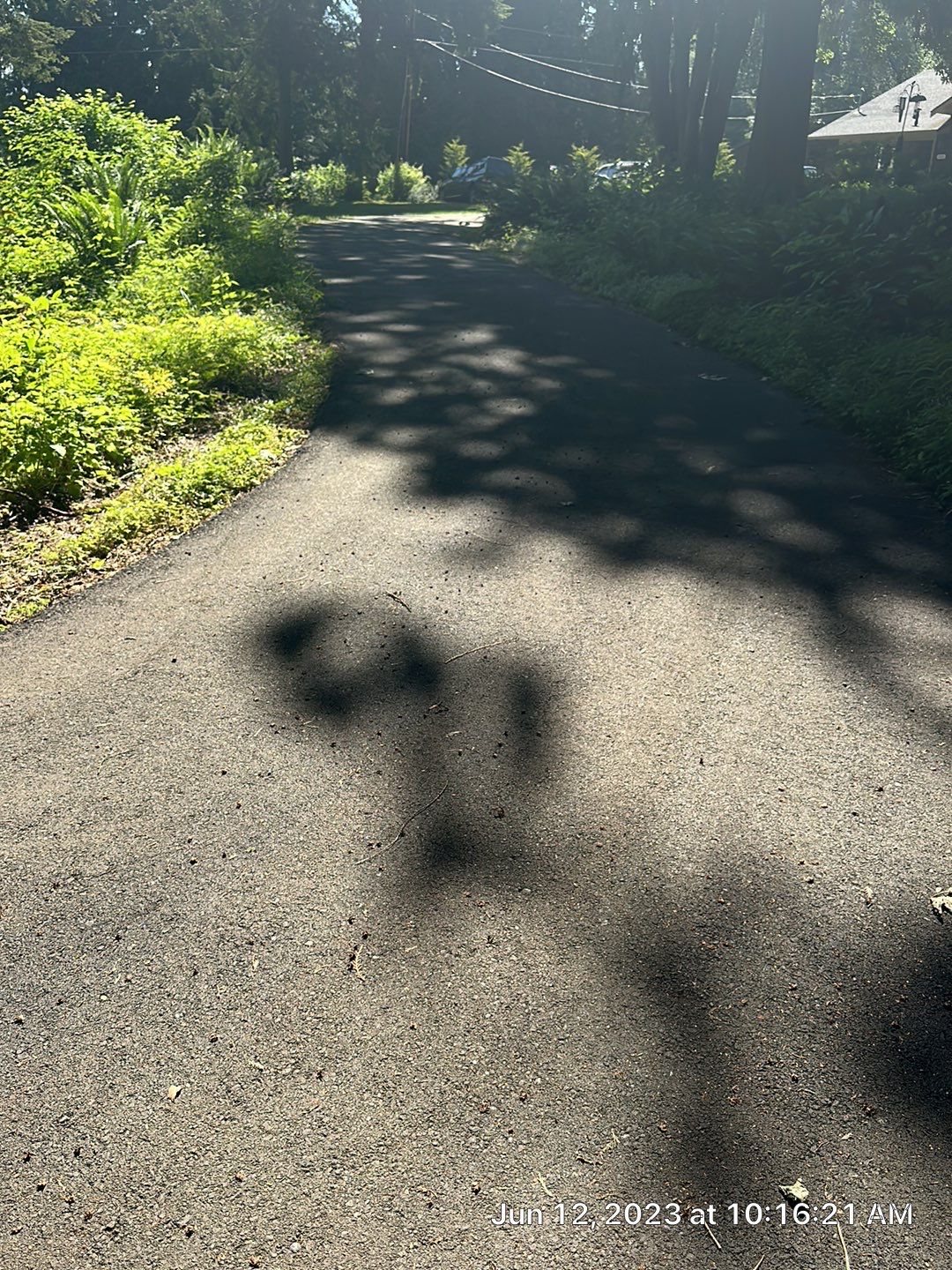 John | Asphalt Driveway  by Jireh Asphalt & Concrete Inc 