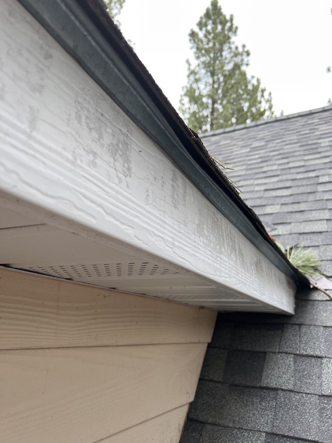 Green Snap Lock Standing Seam  by Montana Roofing Solutions