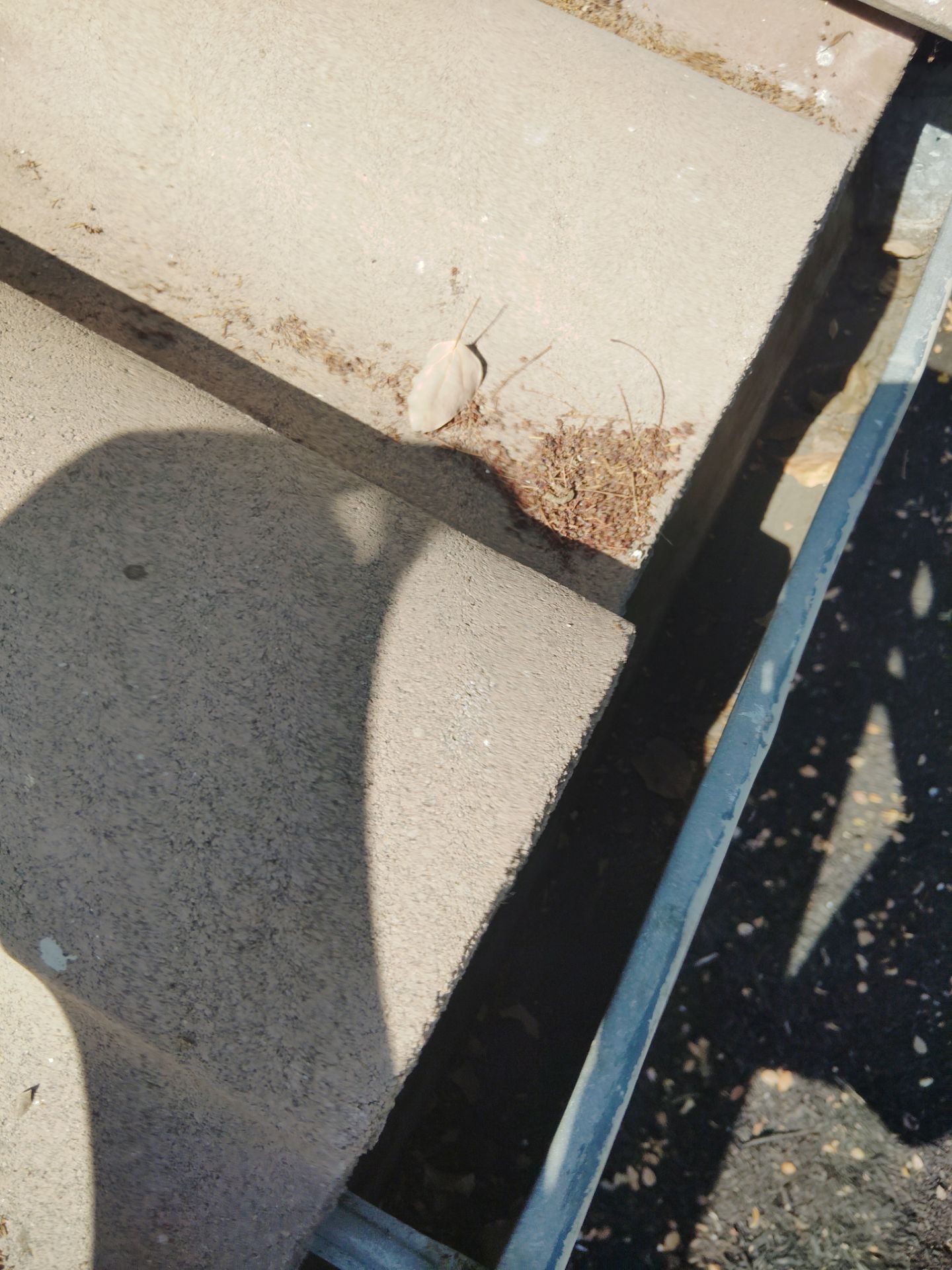 Commercial gutter cleaning San Jose after photo with clean gutters