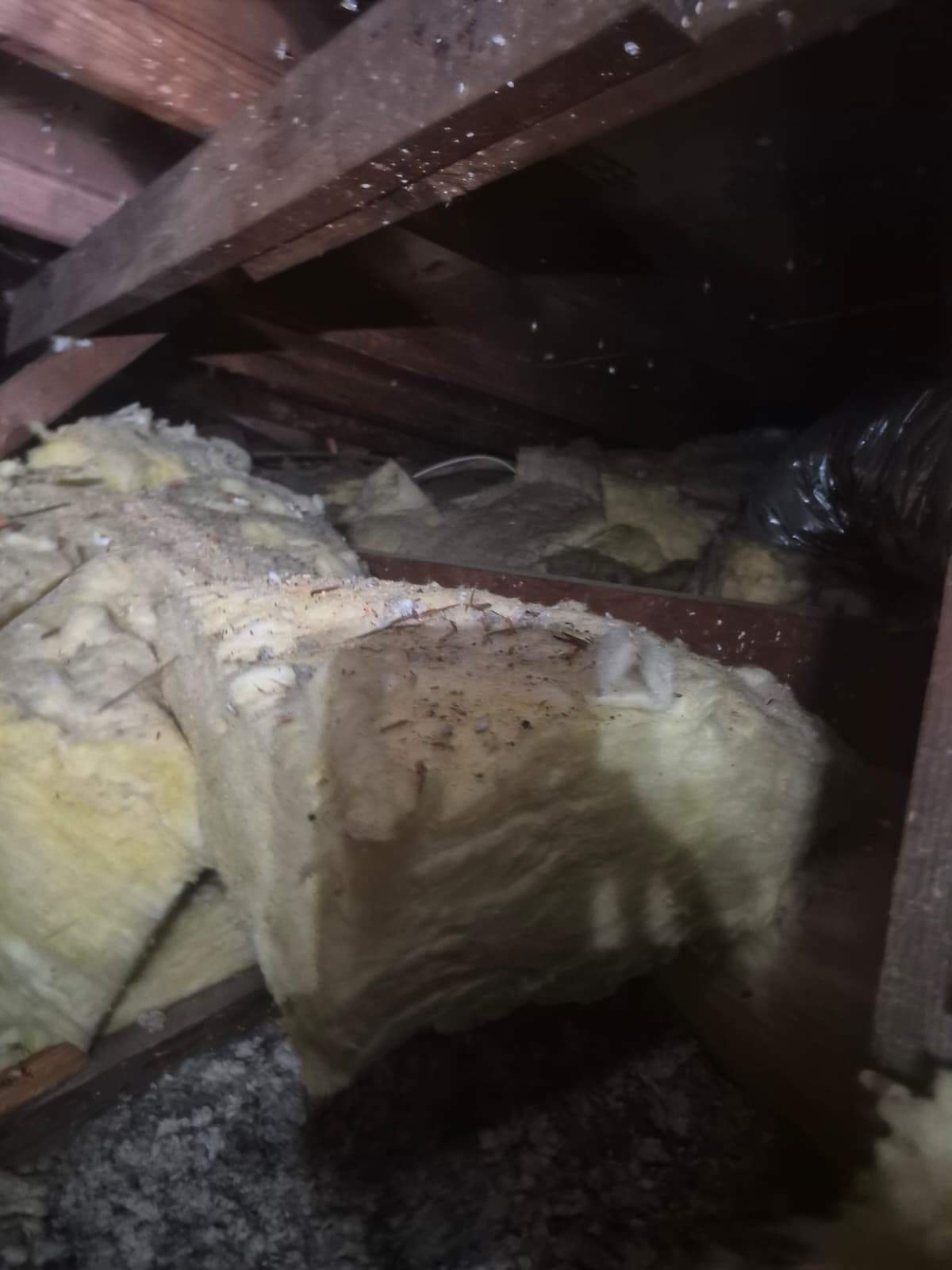 Project in Anaheim by Advanced Attic Solutions