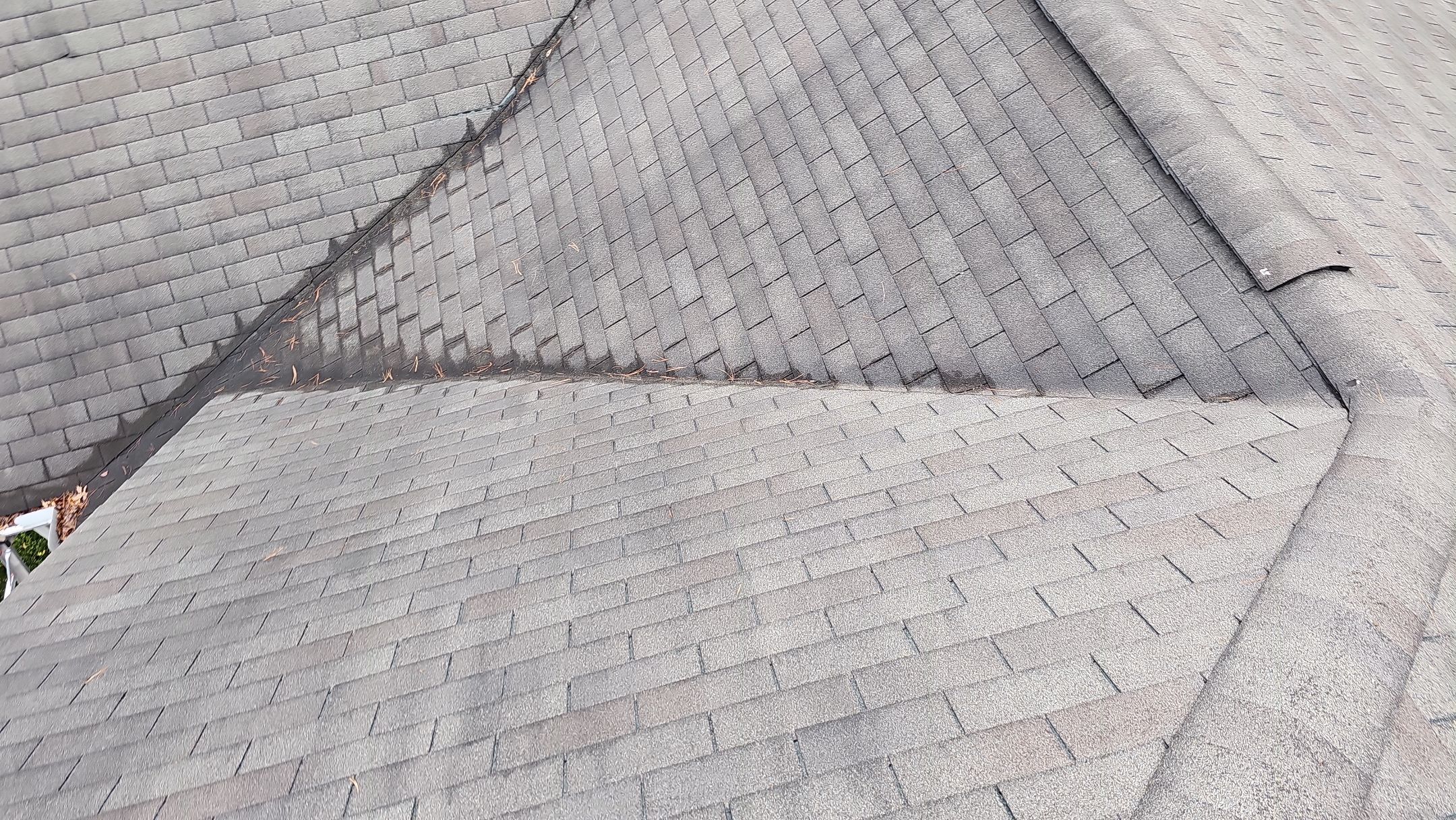 Alpha Rib, Color: Forest Green by Eagle Eye Roofing