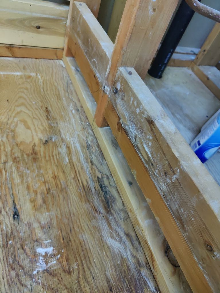 Mold Remediation  by Accountable Home Services