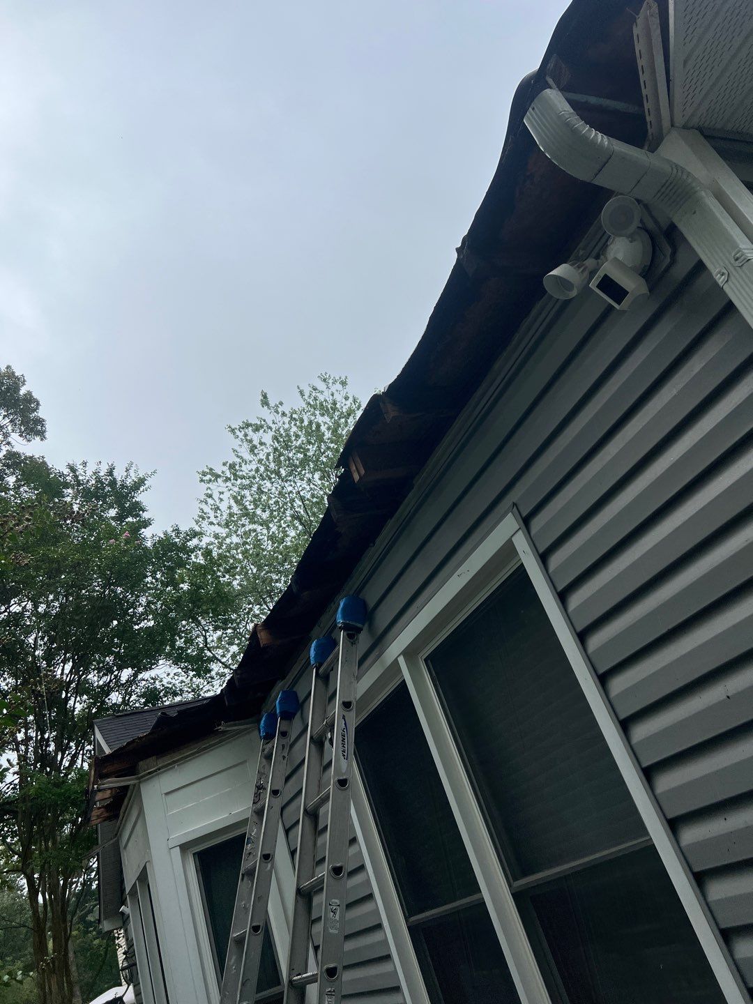 Alexandria: Residential Flat Roof Replacement with MuleHide TPO by RM Banning, Inc.