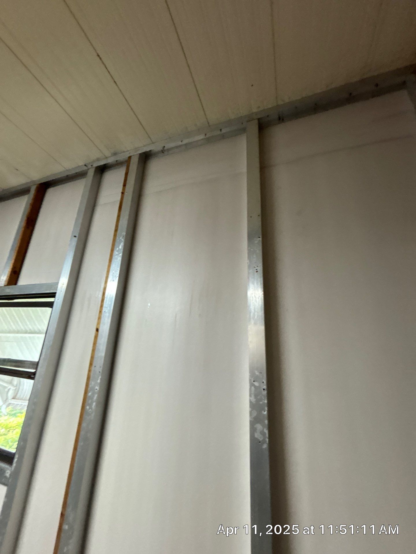 Mold Removal In Palmetto by Ampm Restoration Services