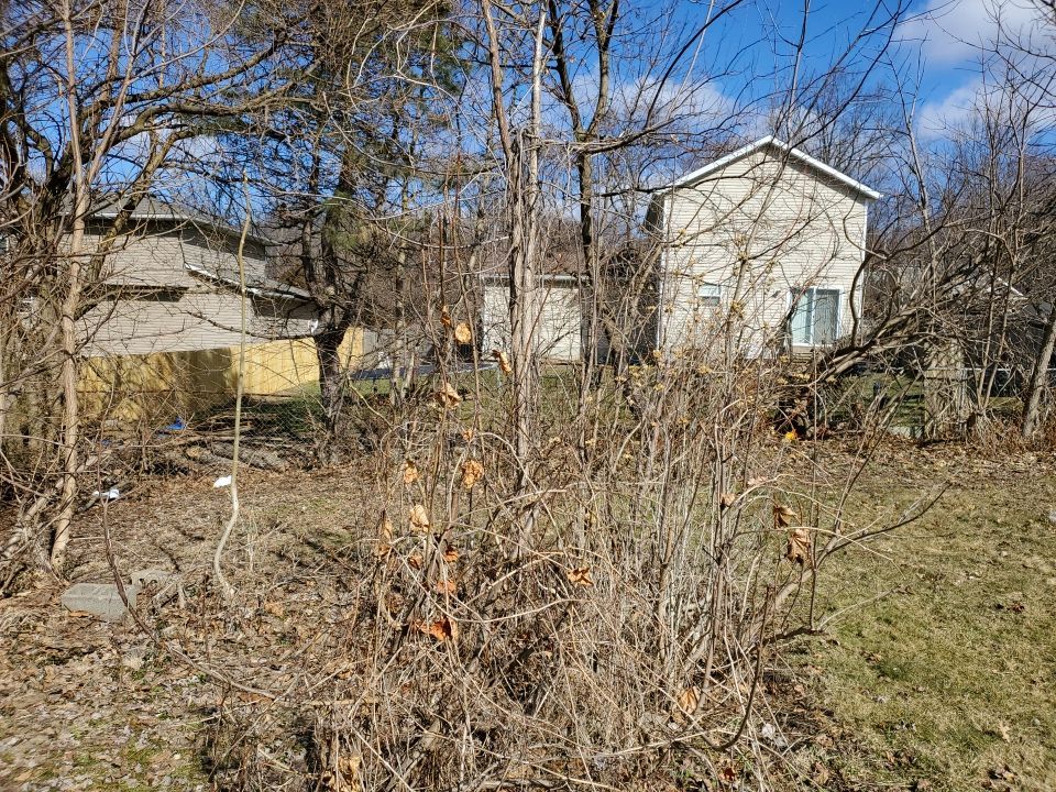 Tree Removal using Tree Removal by Mike Jones & Sons Tree Service LLC 