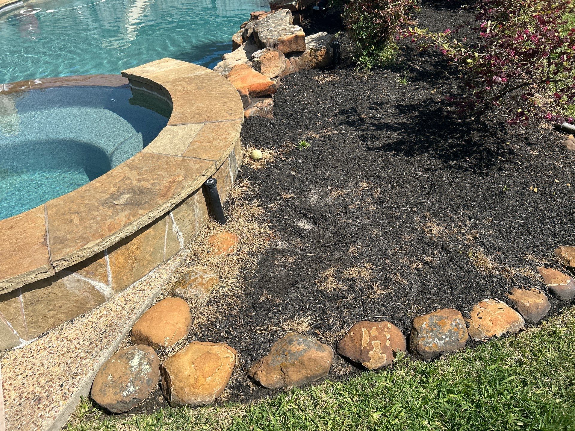 🌿 Larry Caudillo’s Poolside Landscape Revamp by Texas Urban Elements