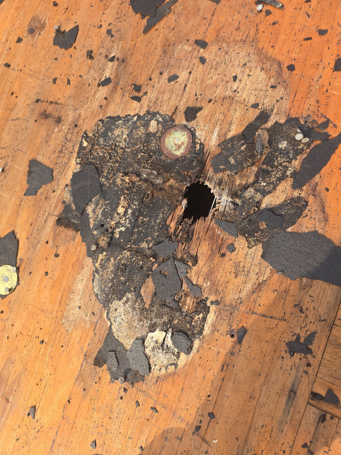 Roof Replacement Pasadena by Roof Repair Company