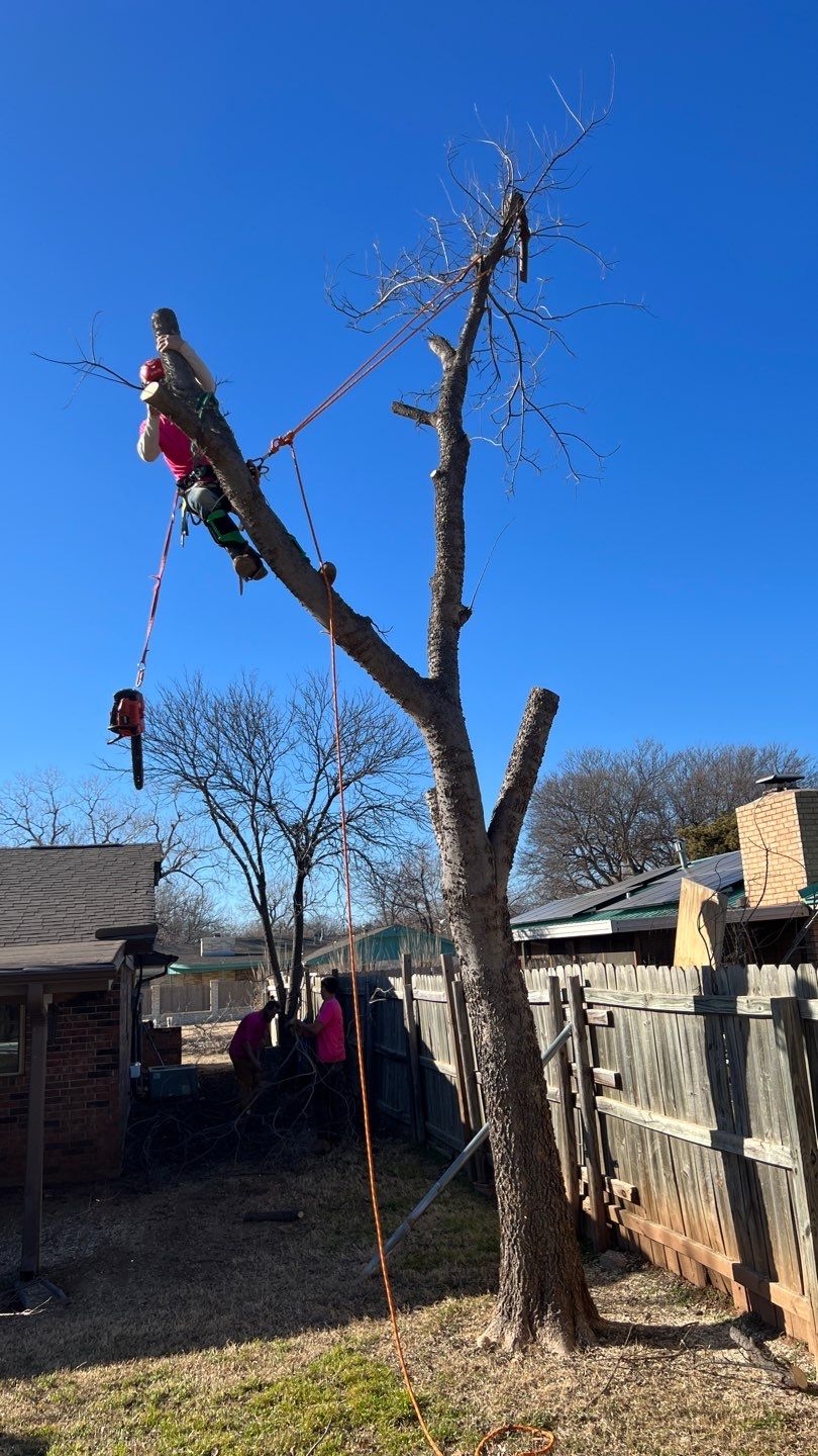 Fence , Concrete Pads , and Tree Removal by Clays Services Inc