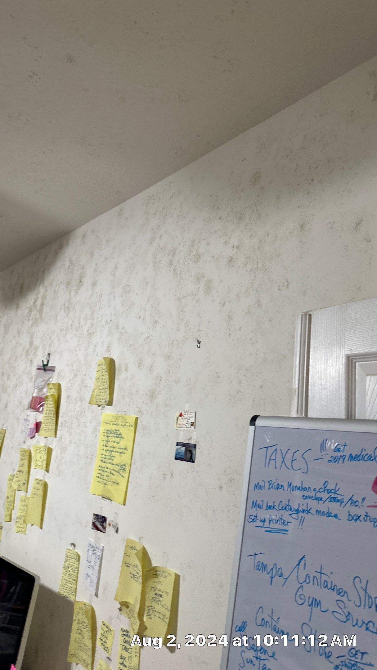 Mold Assessment using IR Camera, Moisture Meter, Air Cassette samples and Tape lifts by Building performance Solutions LLC