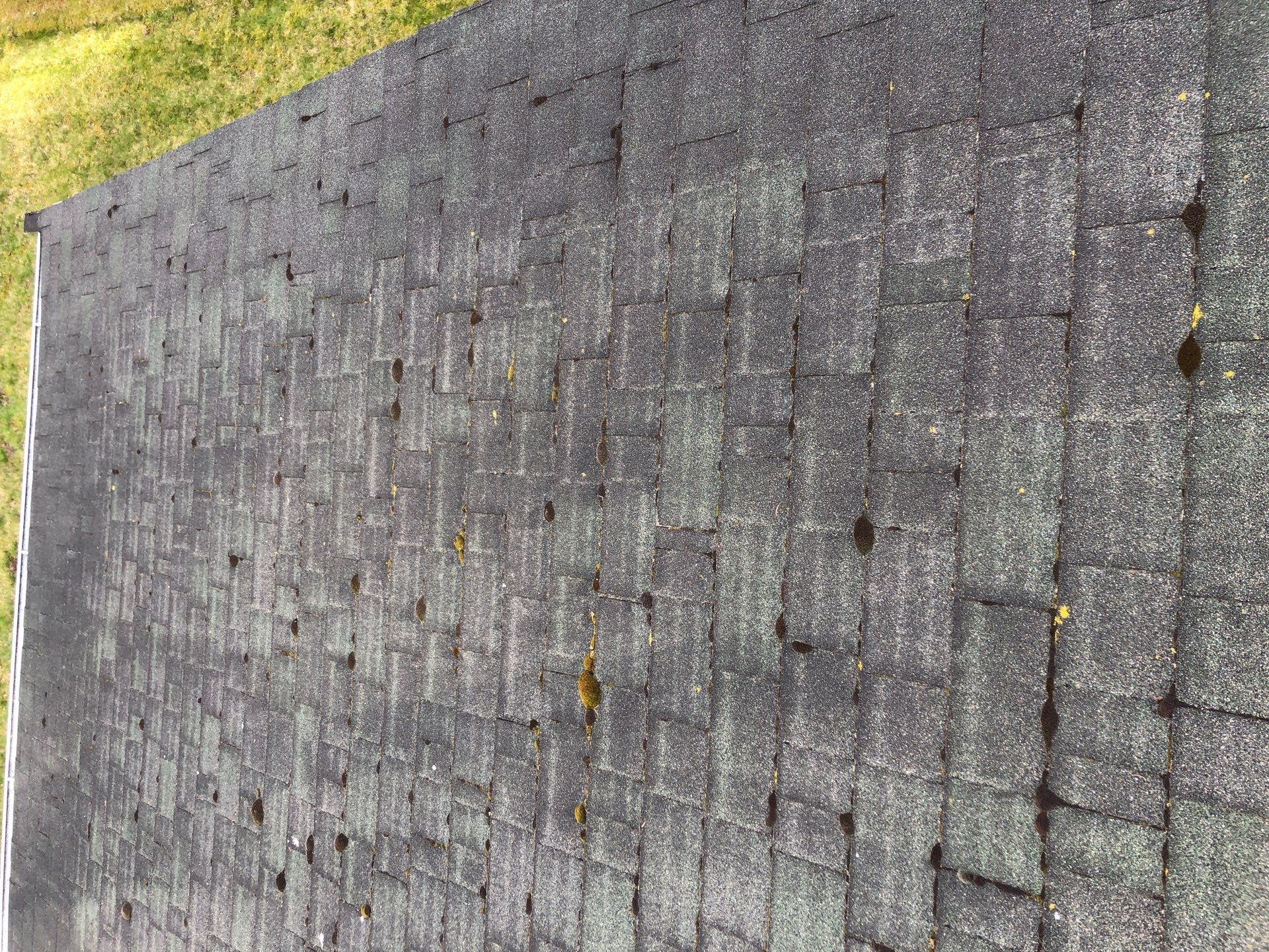 Project in Lynden by Connolly Construction Company