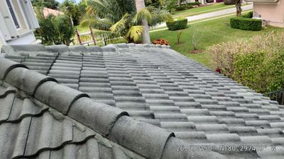 Tile Roof Replacement in Wellington – Professional, Conscientious, and Friendly Service