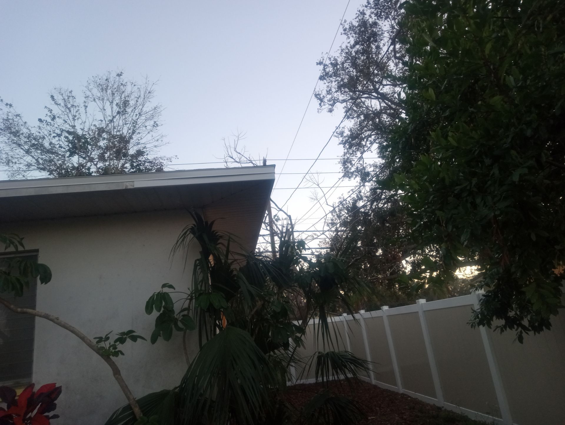 Project in Largo 33770 by Mitchell Roofing Company LLC