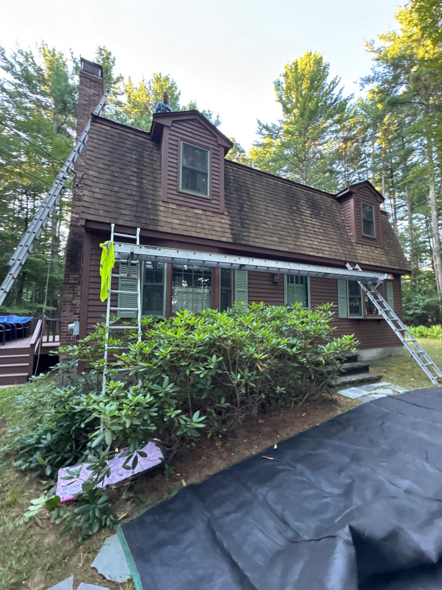 Roof Replacement – Rosalie Brown, MA by Mighty Dog Roofing of Greater Middlesex County