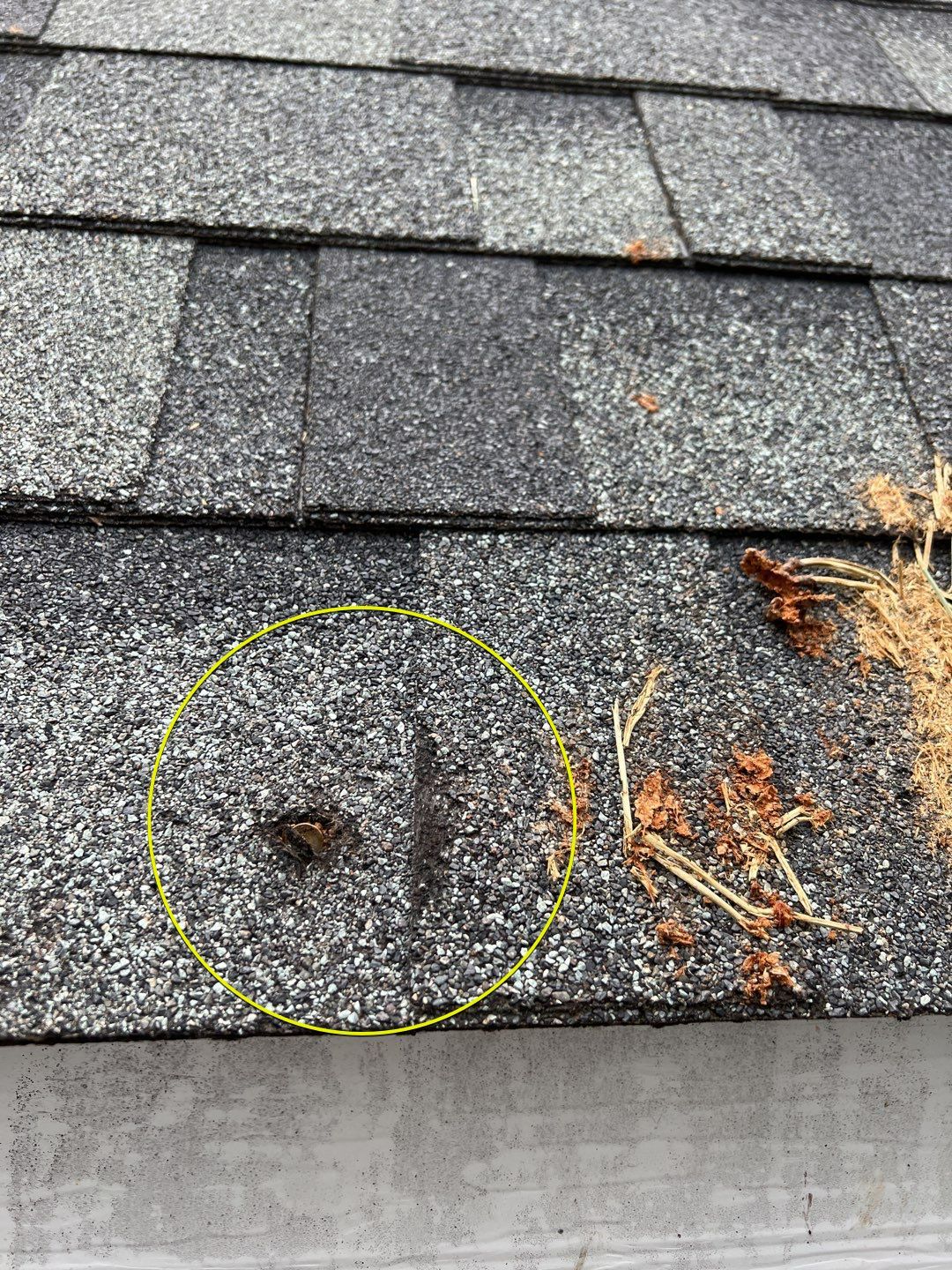 Green Snap Lock Standing Seam  by Montana Roofing Solutions