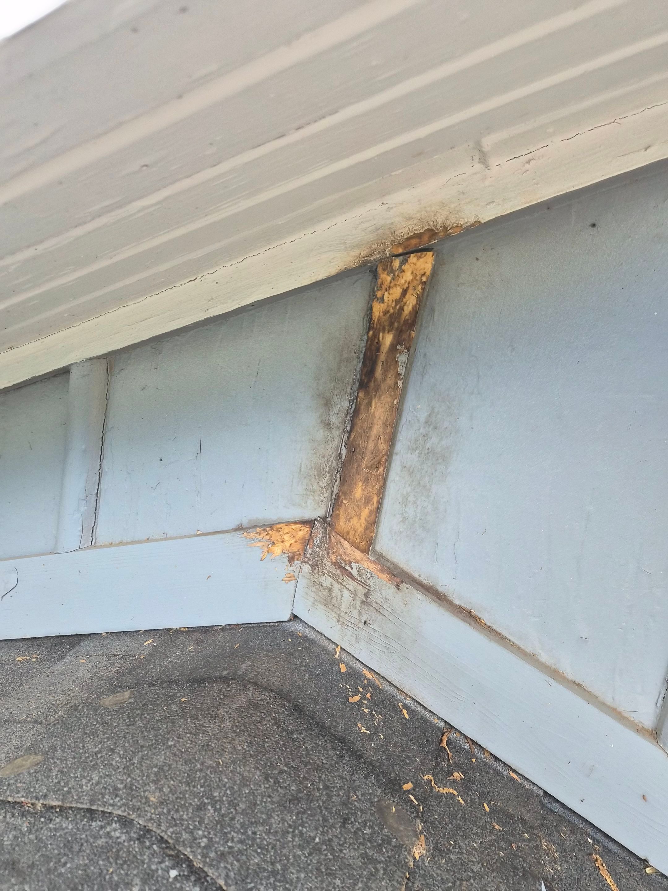 From Gray to Modern White: Exterior Repaint in Tyler, TX by Quality Coats Painting