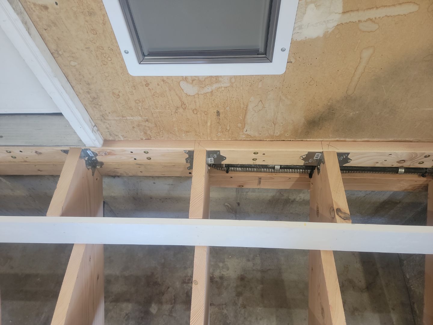 Dog Door and Stairs by Rudd Builders LLC