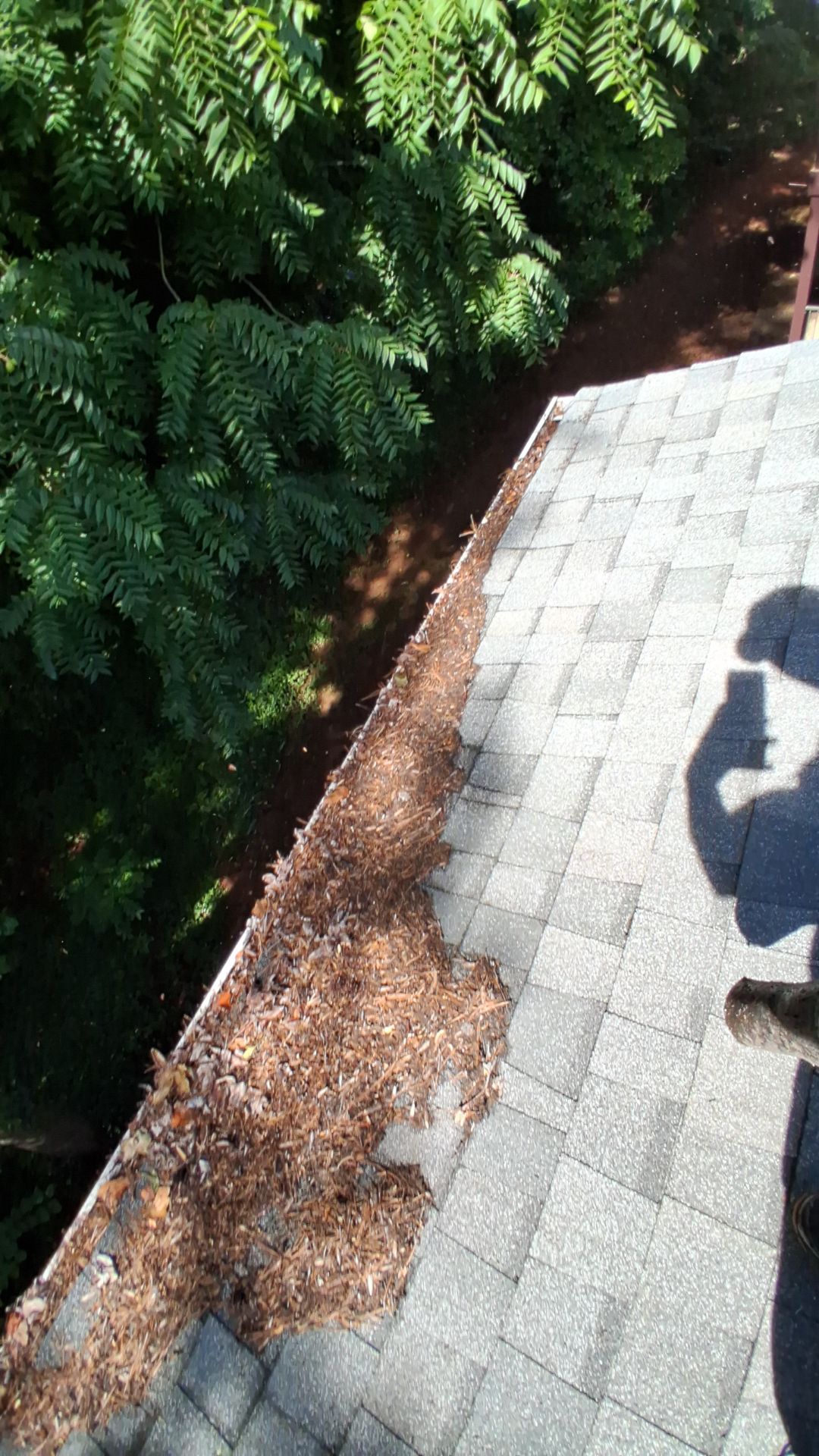 HOA gutter cleaning before