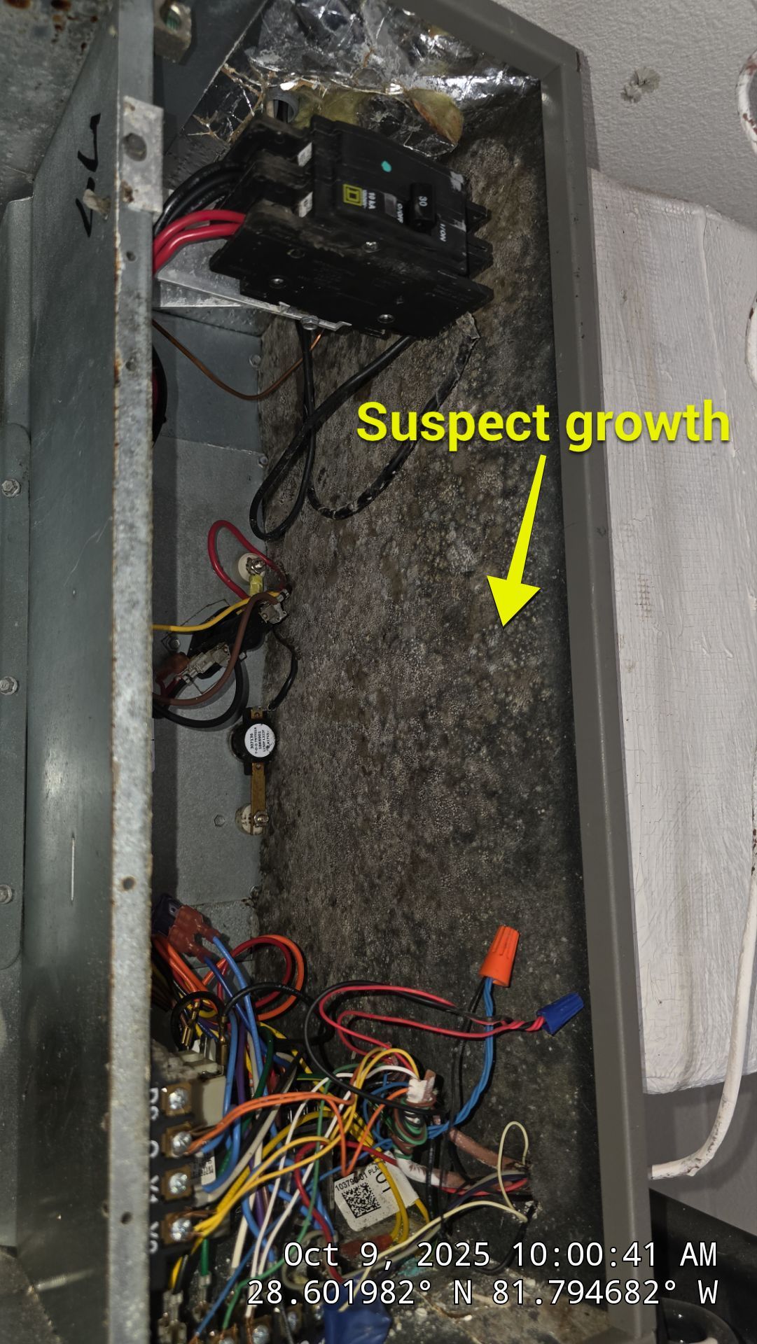 Air Duct and Dryer Vent Cleaning in Groveland by Hygienic Air, Inc