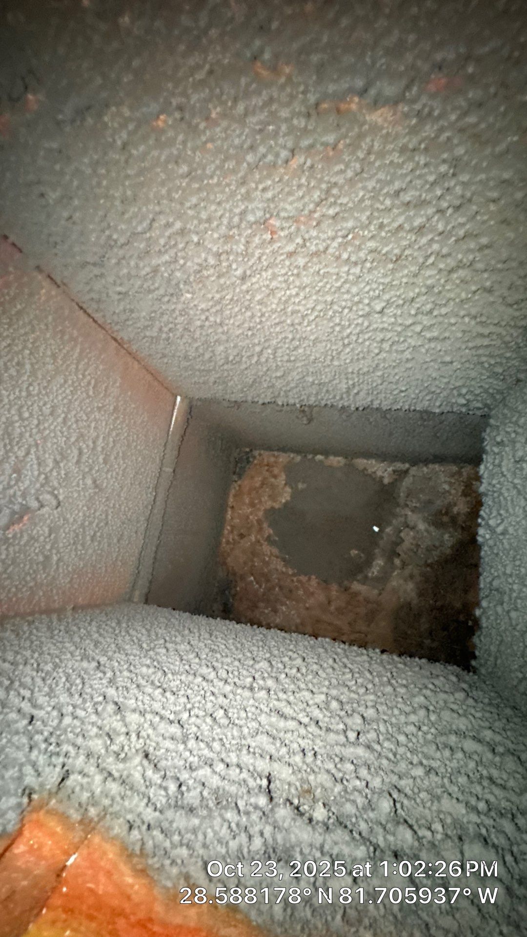 AIr Duct and Dryer Vent Cleaning in Montverde by Hygienic Air, Inc